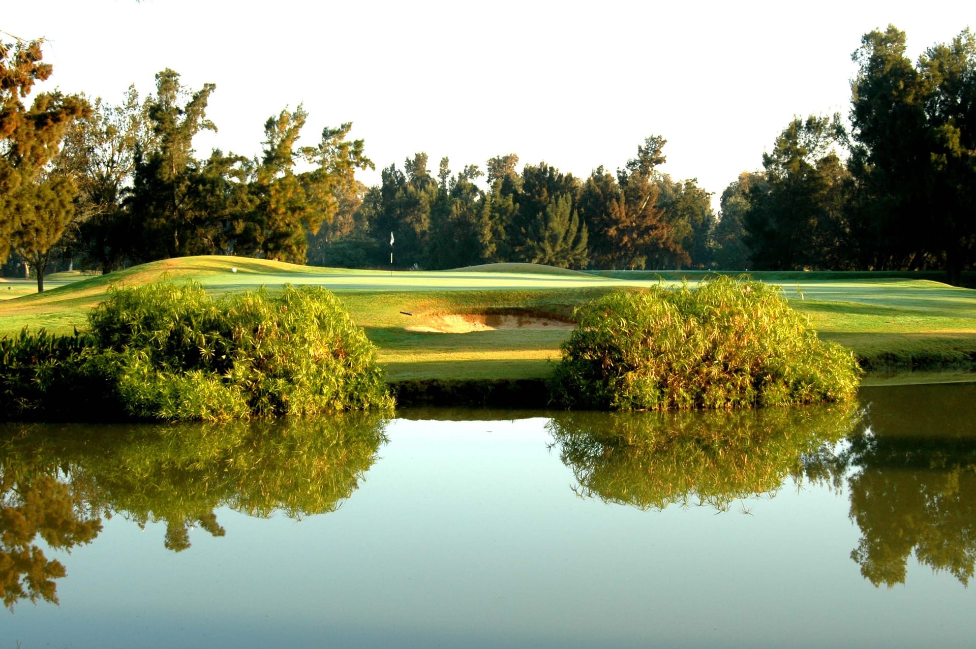 Penina Sir Henry Cotton Championship Golf Course