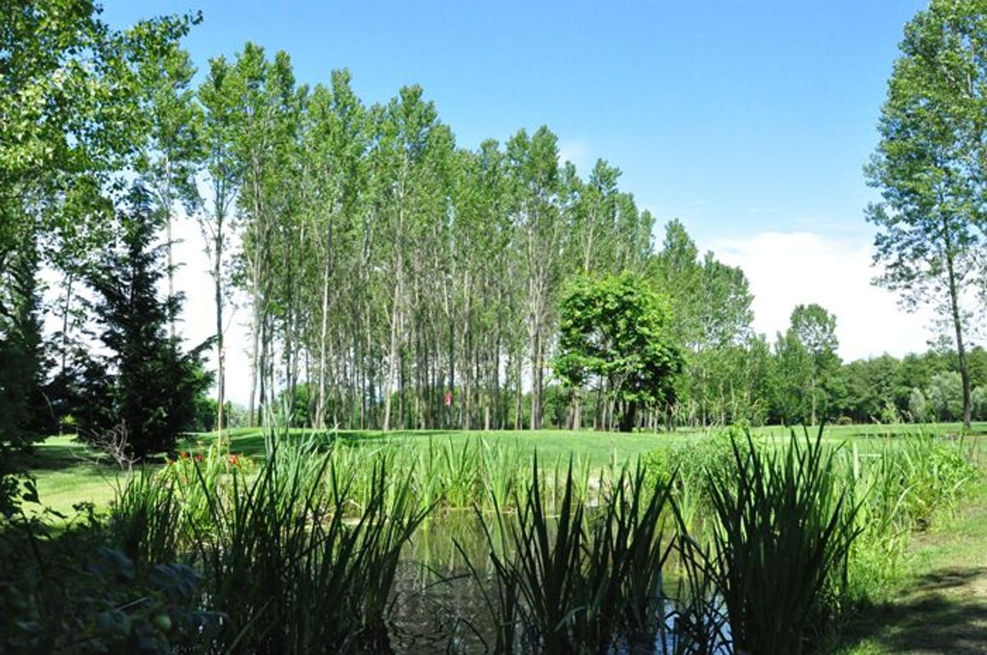 Arona Golf Club