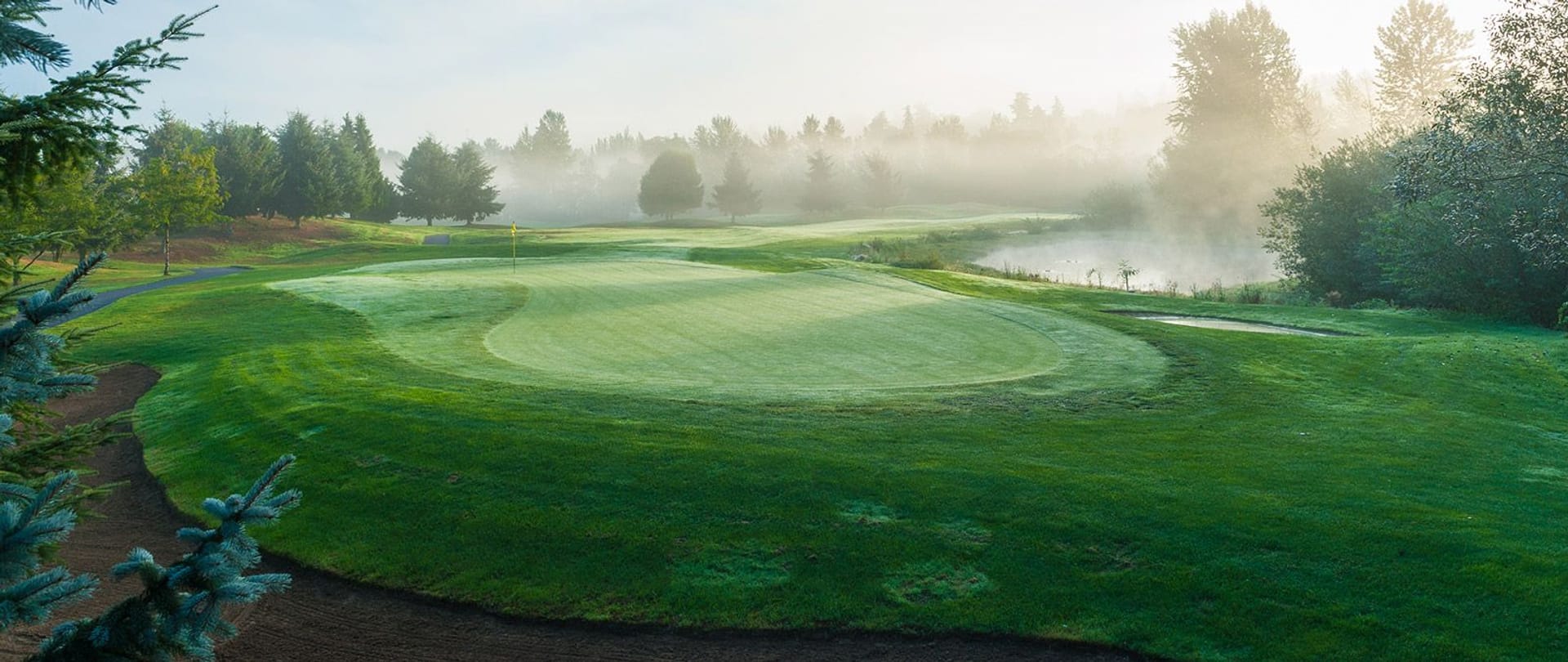 Willows Run Golf (Coyote Creek)