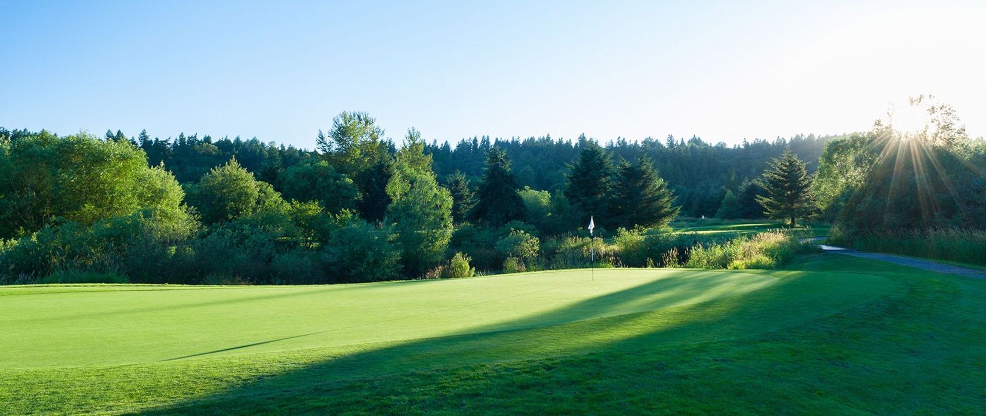 Willows Run Golf (Heron Links)