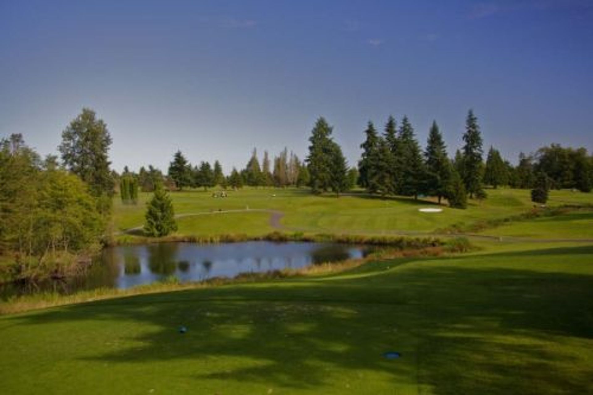 Walter E Hall Golf Course