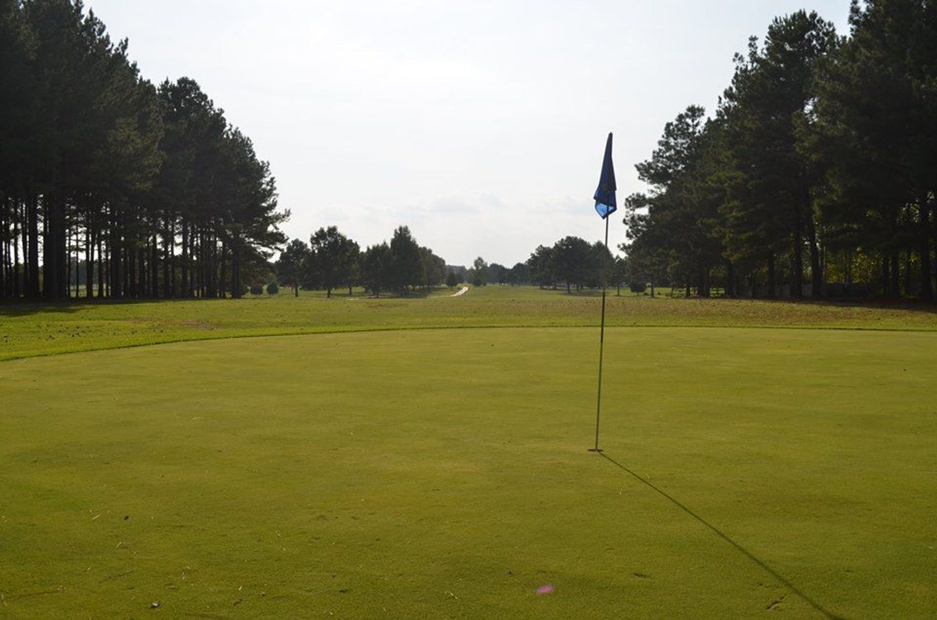 Southern Gayles Golf