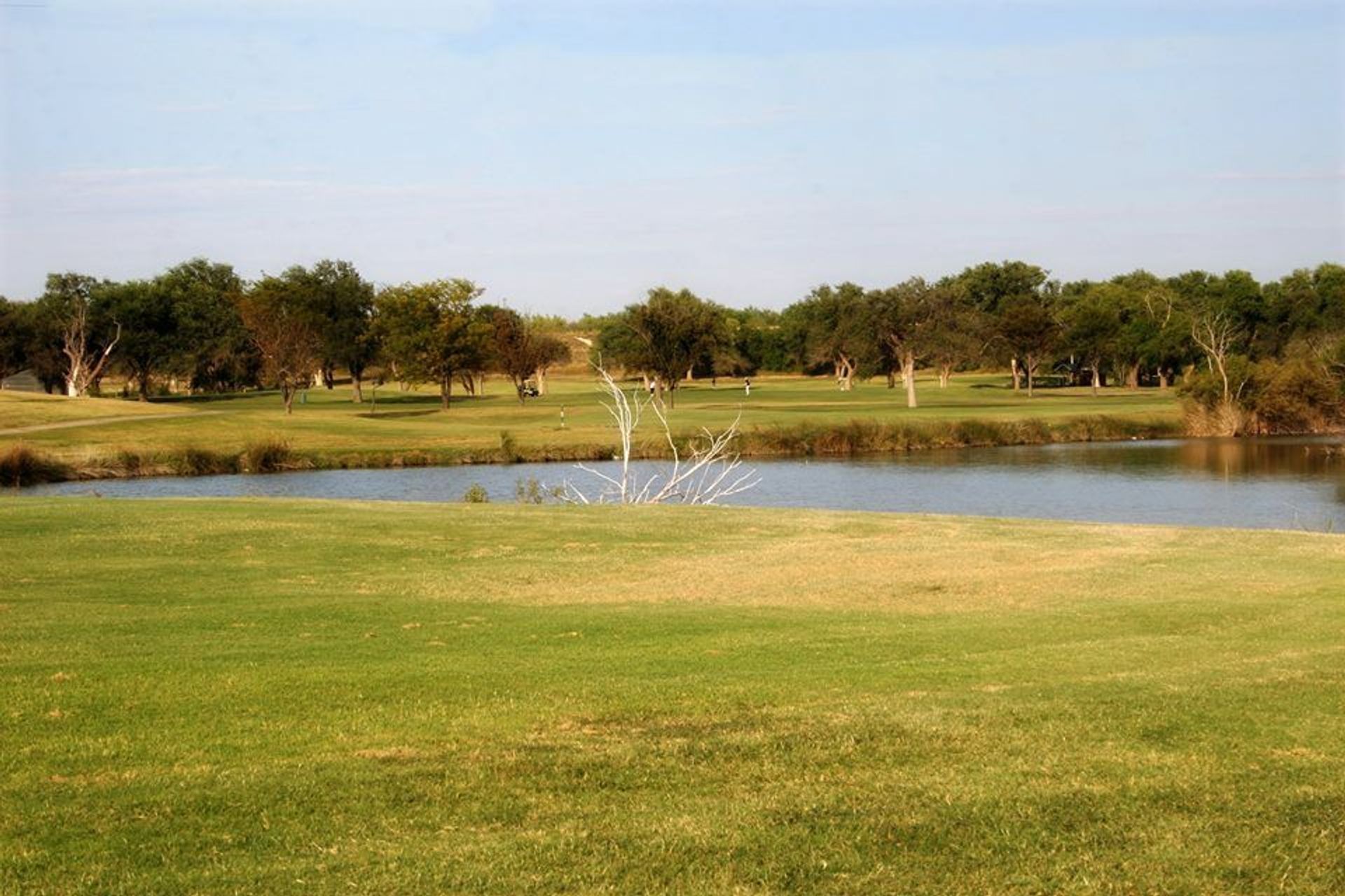Meadowbrook Golf Course (Creek)