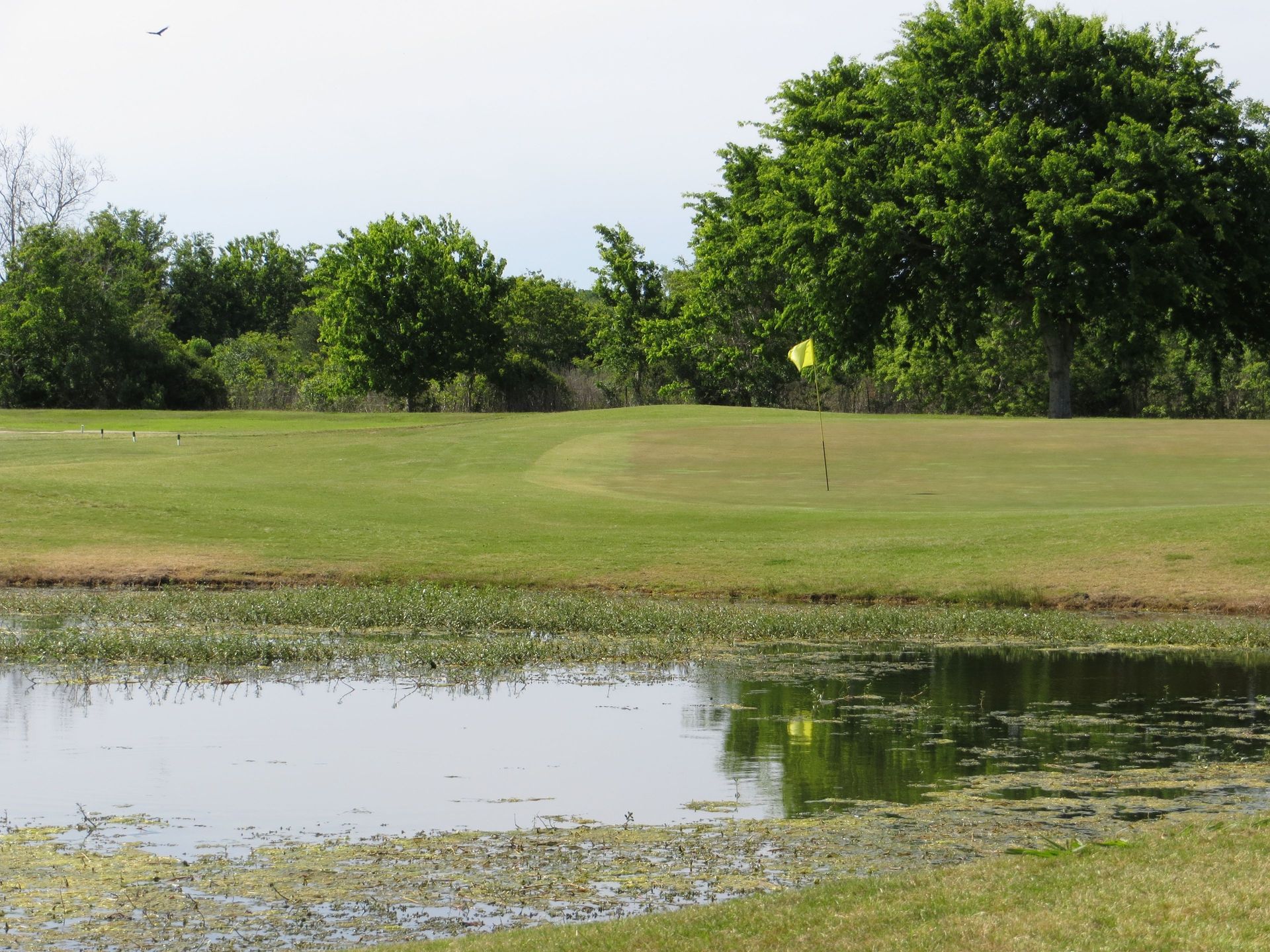 Rio Colorado Golf Club