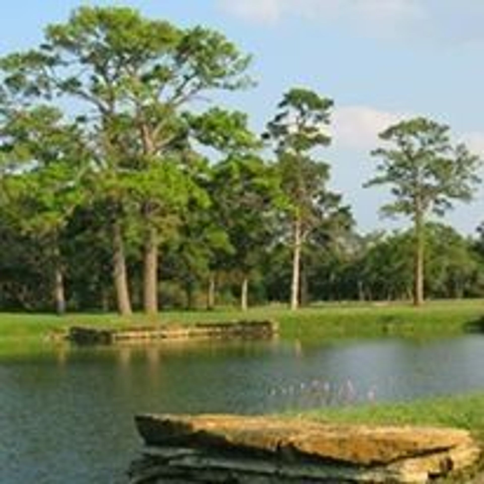 Lost Pines Golf Club
