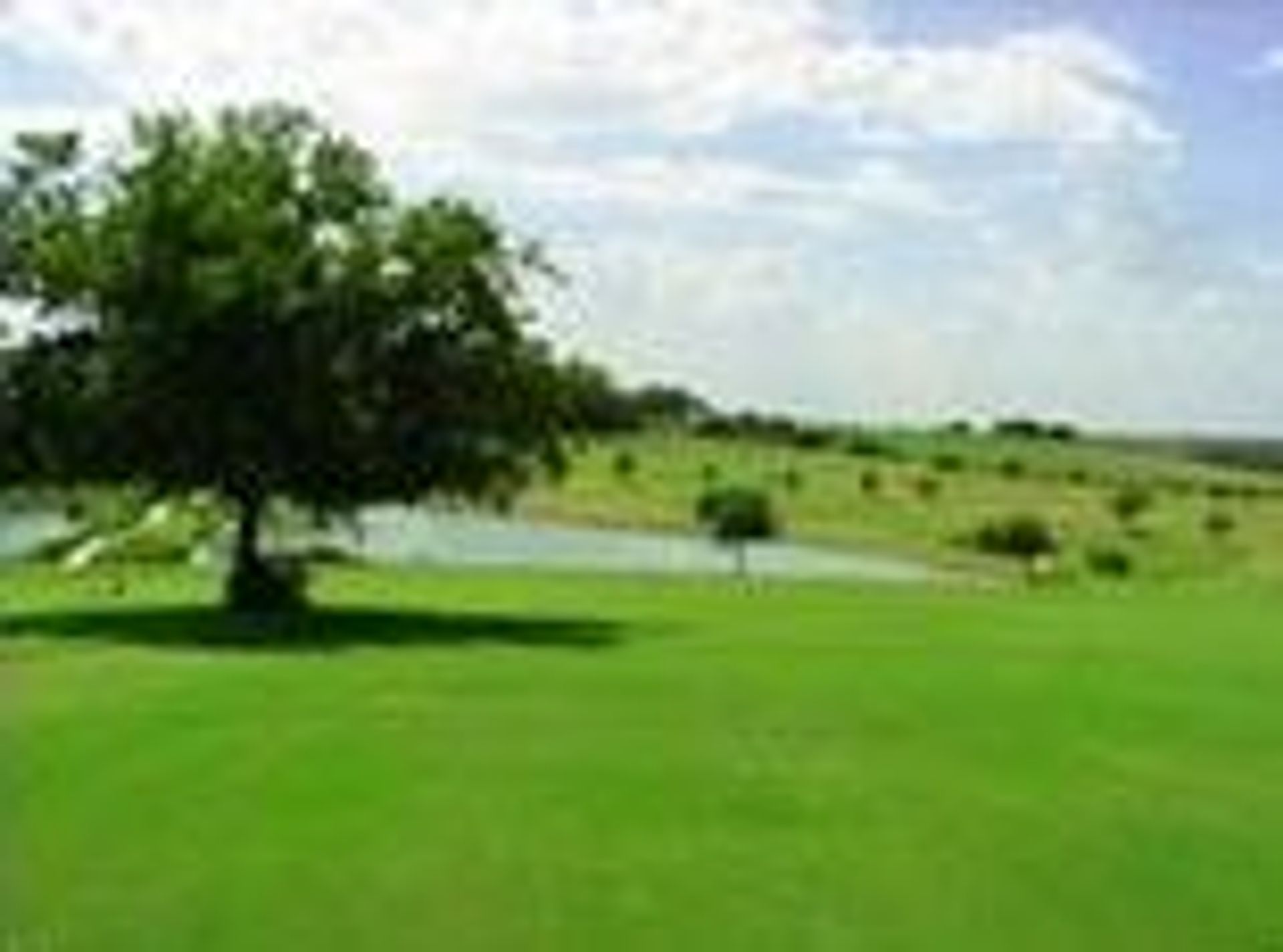 Mustang Creek Golf Course
