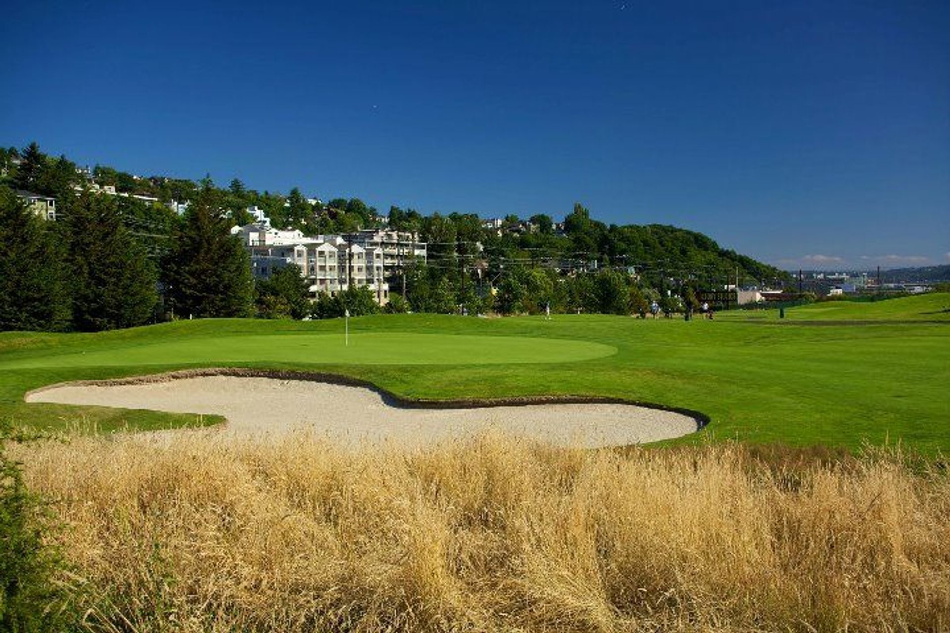Interbay Golf Center