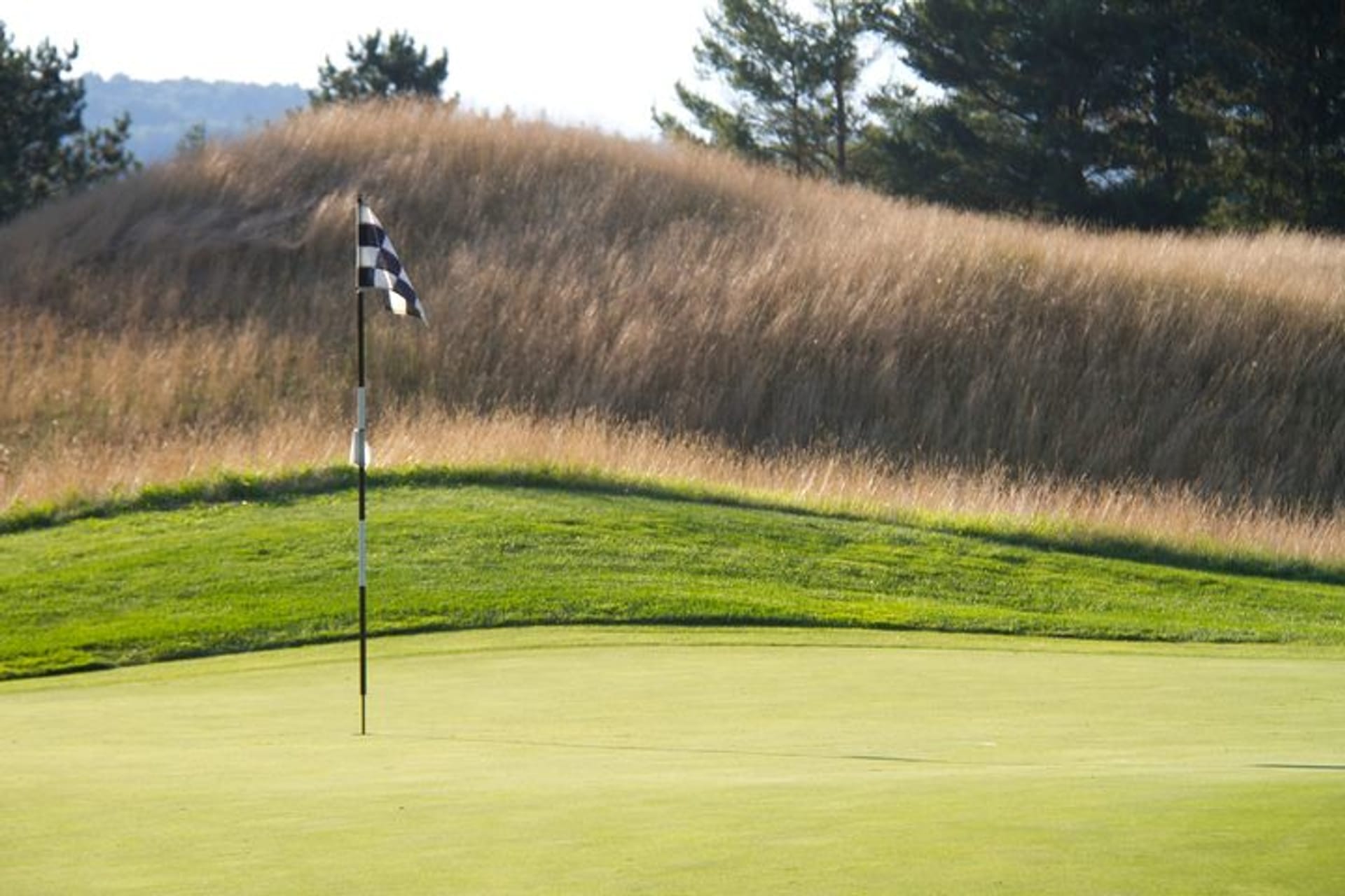 Fox Run Golf Club