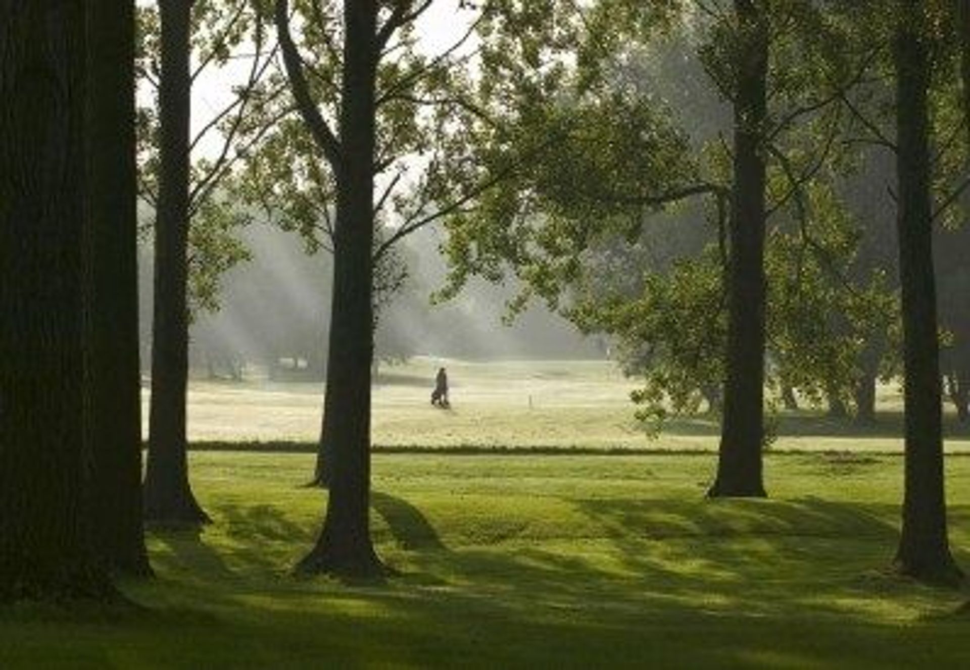 Barnham Broom (The Valley)