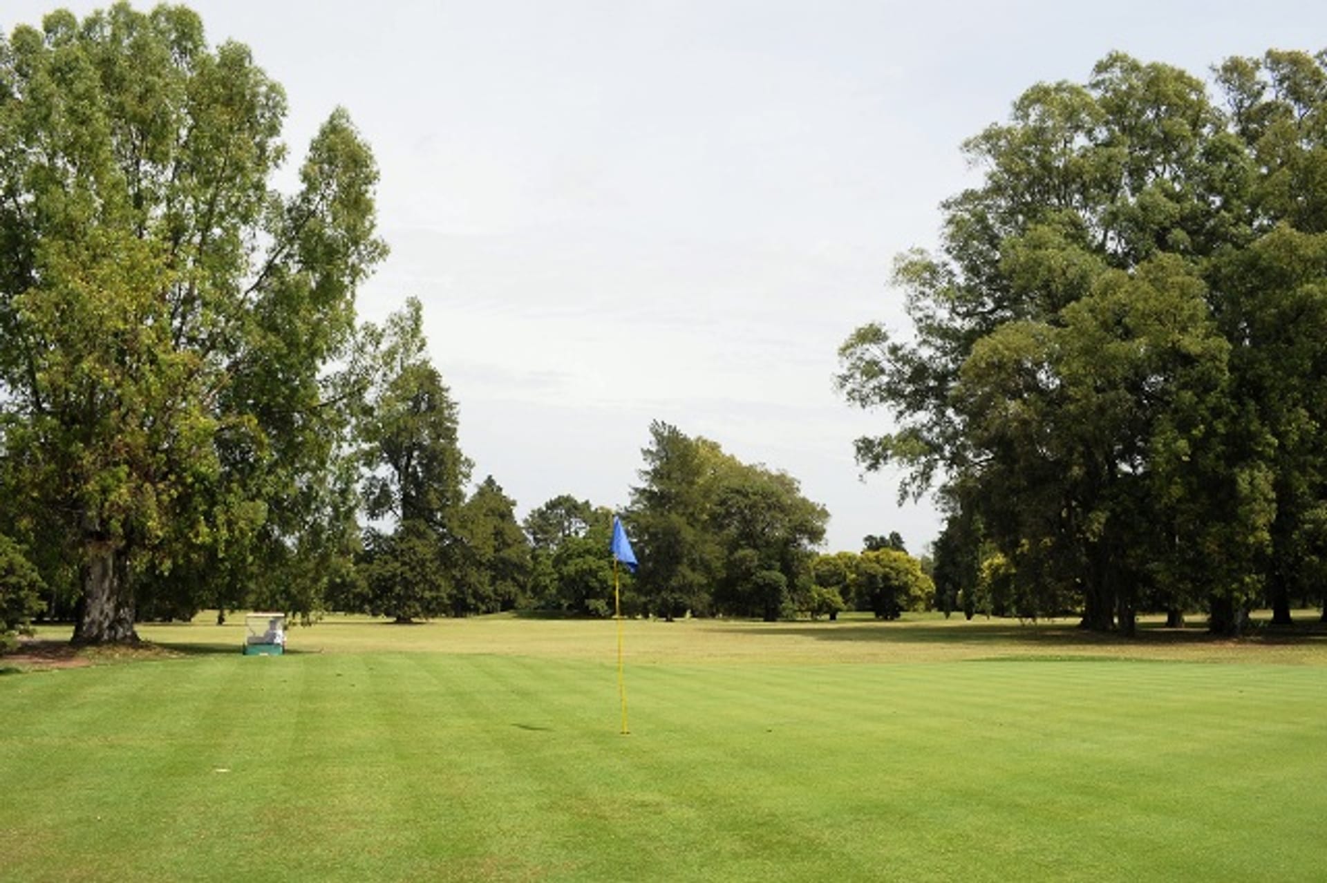 La Corte Suprema falló a favor de los clubes de golf y avaló que no tengan que registrar como empleados a los "caddies"