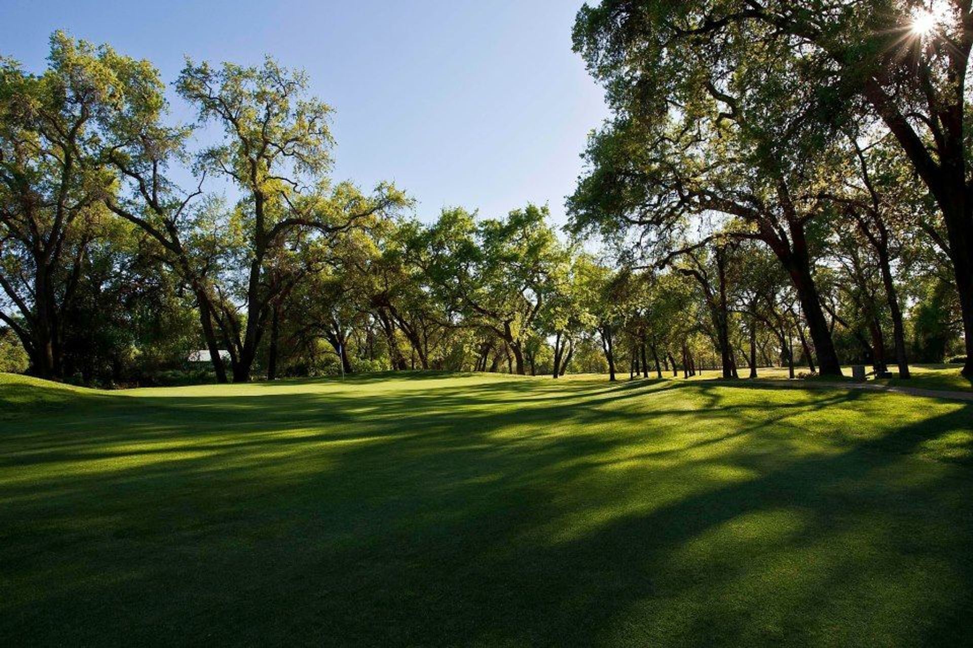 Sherwood Forest Golf Club