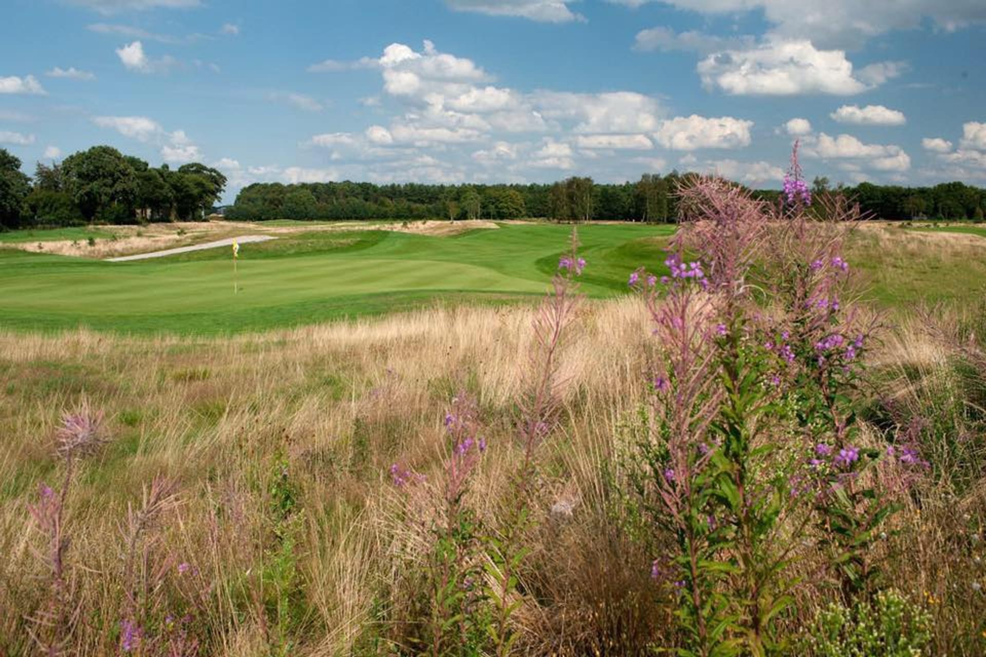Golfbaan Landgoed Bergvliet (Par 3)