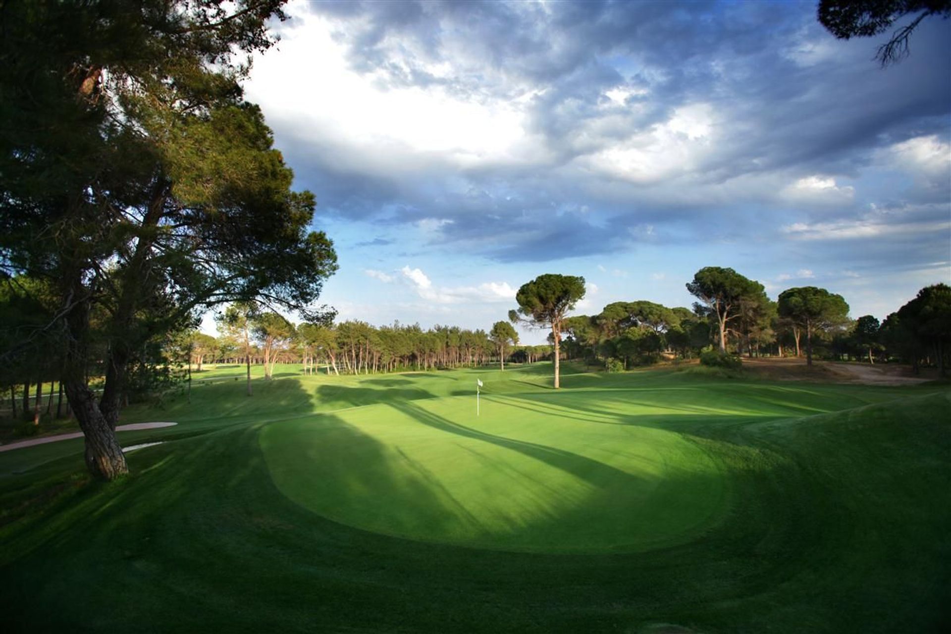 Montgomerie Maxx Royal
