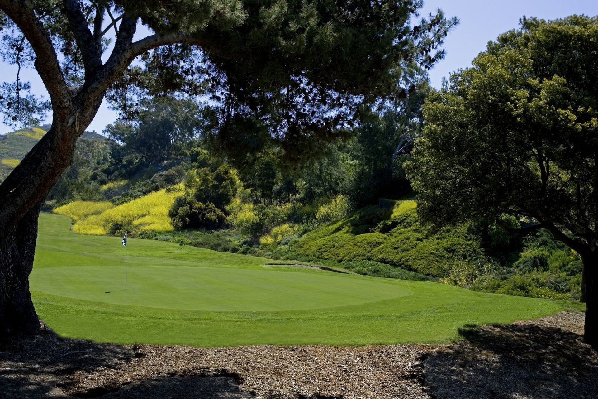 Shorecliffs Golf Club