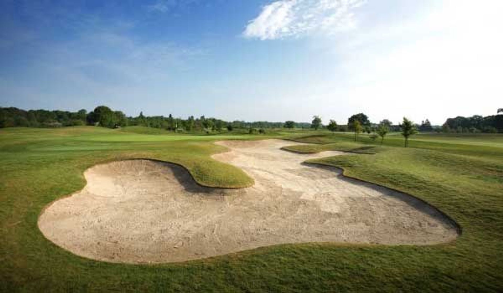 Burhill Golf Club (New)