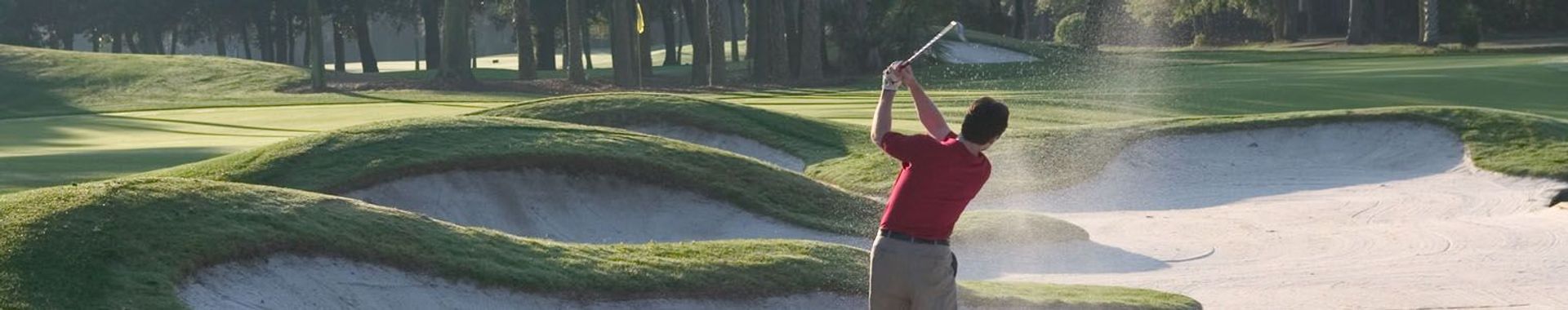 Kiawah Island Golf Resort (Cougar Point)