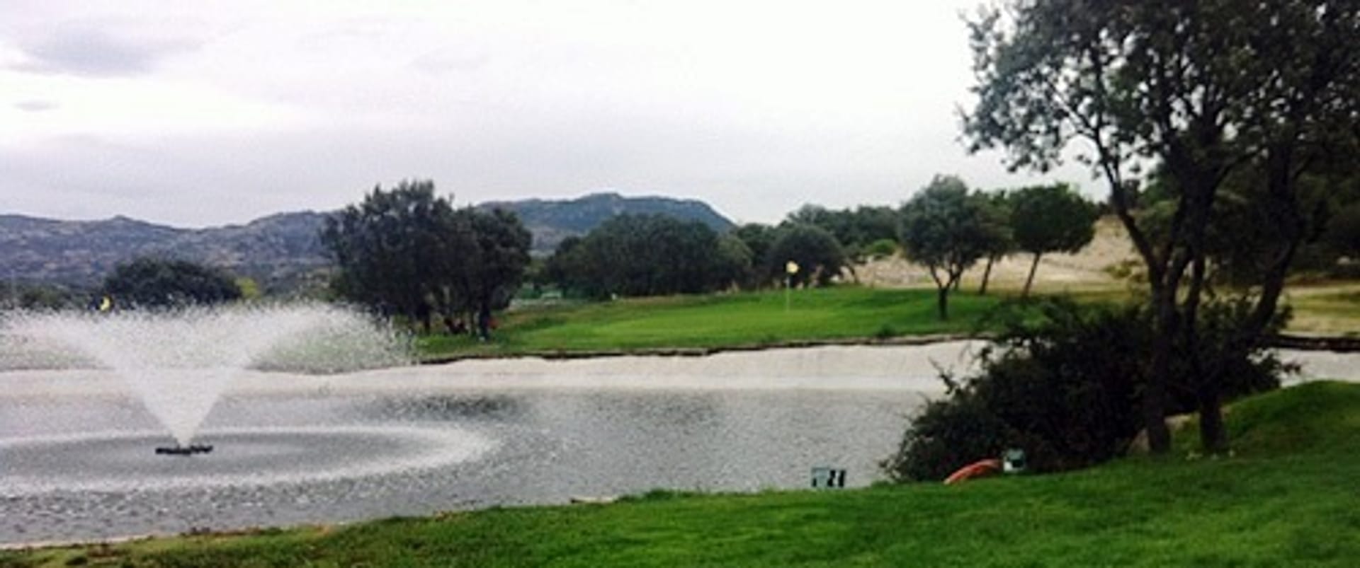 Green Paddock Golf
