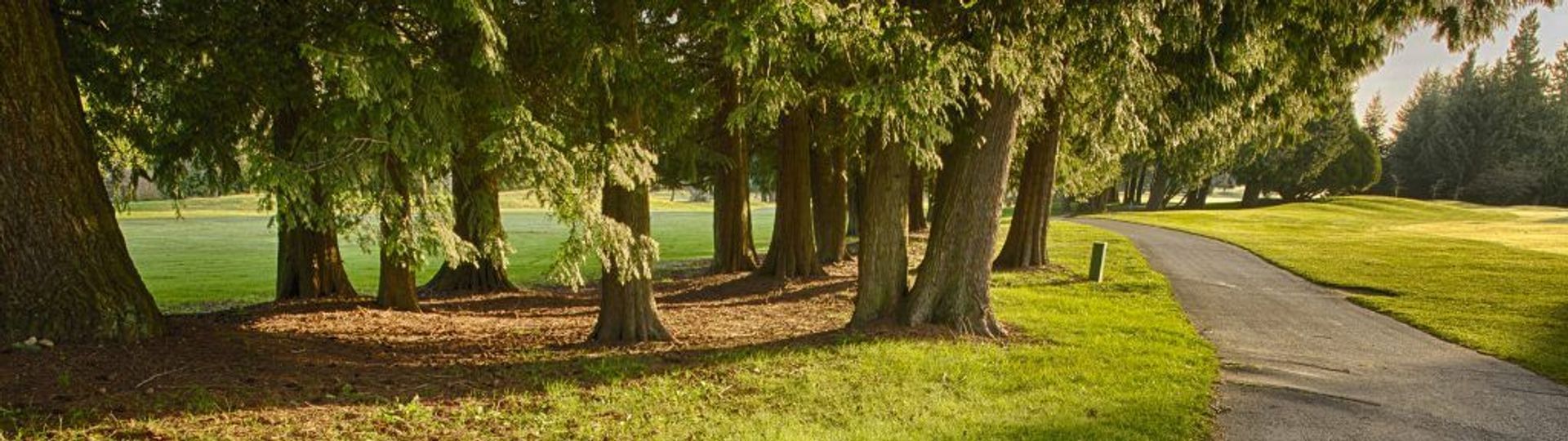 University Golf Club
