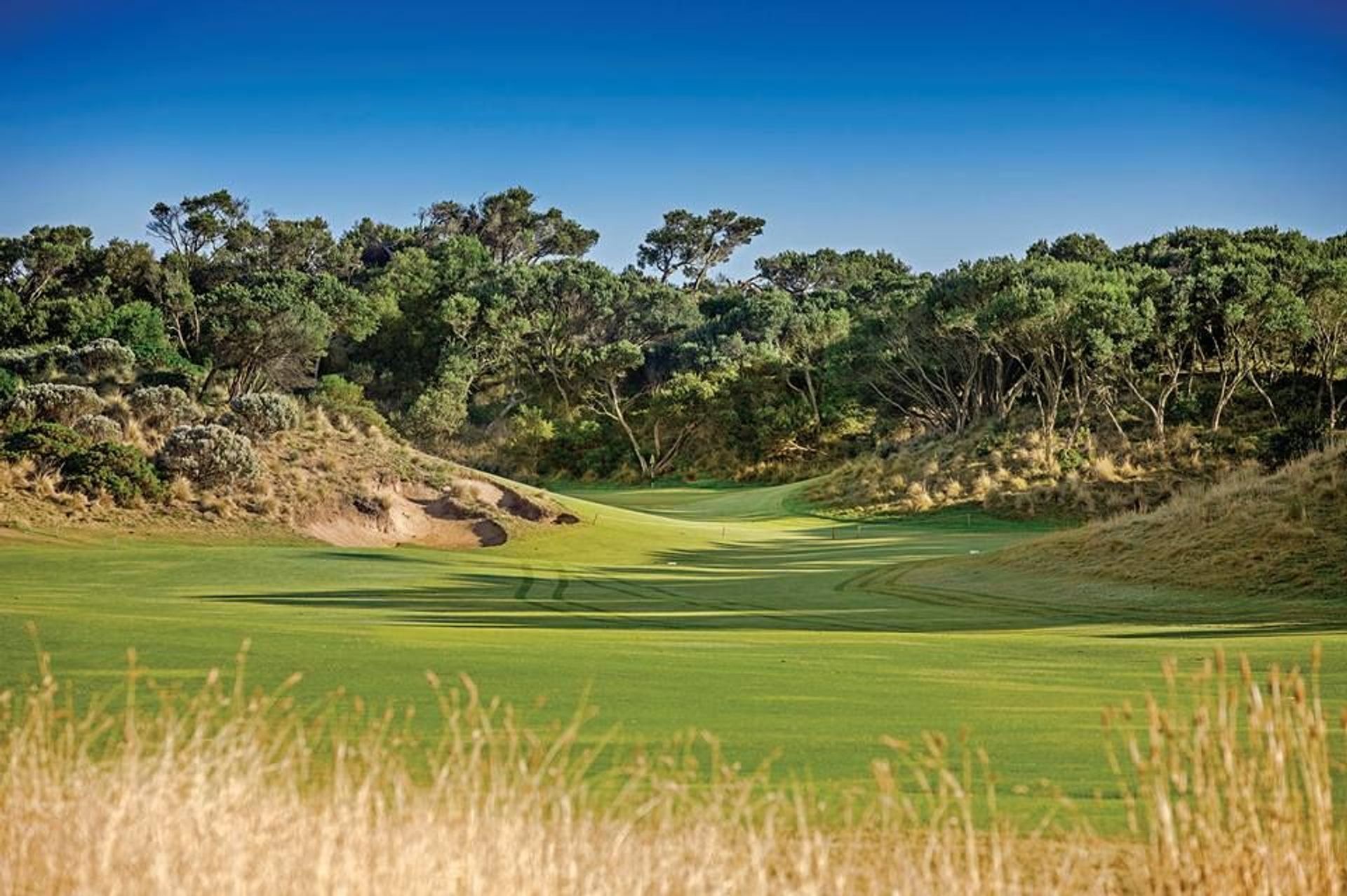 St Andrews Beach Golf Course