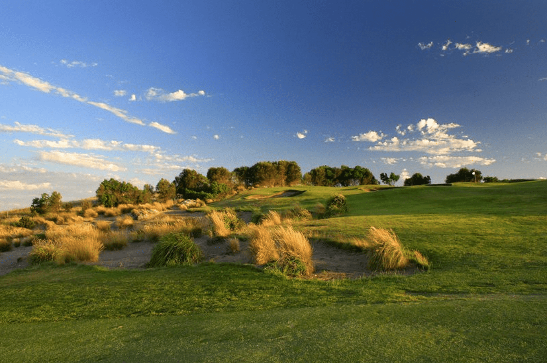 The Dunes Golf Links (Cups)