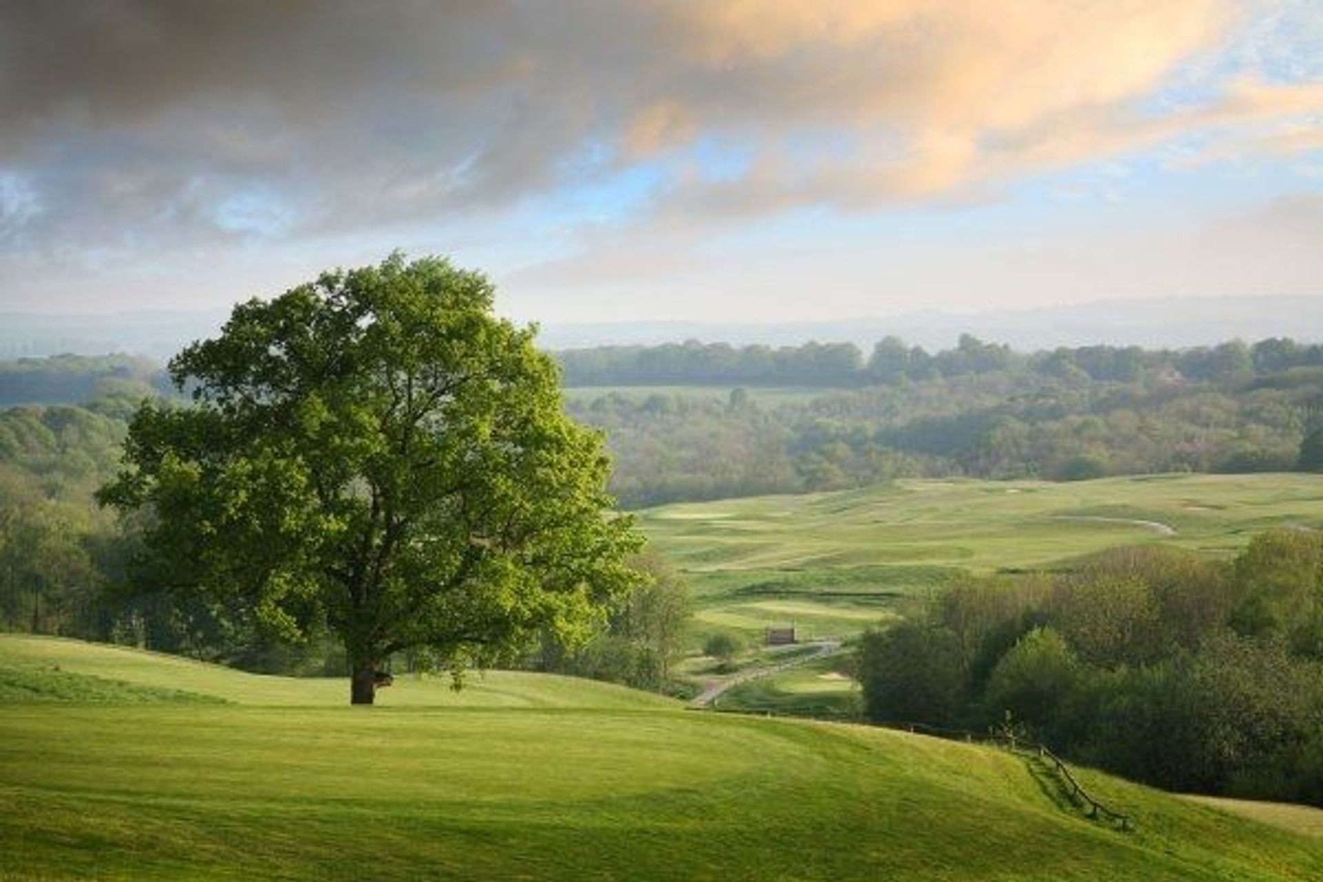Dale Hill Hotel and Golf Club (Ian Woosnam)