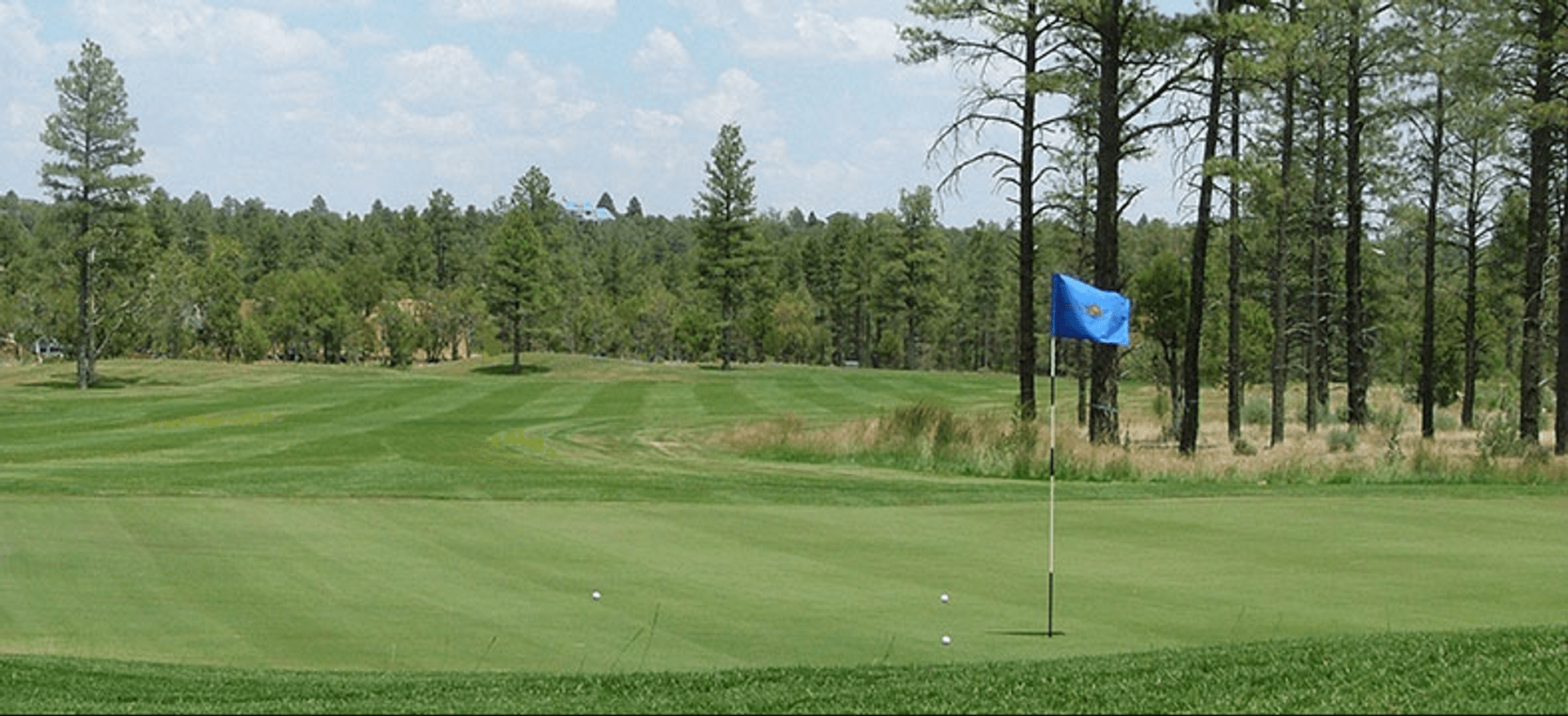 Bison Golf Club
