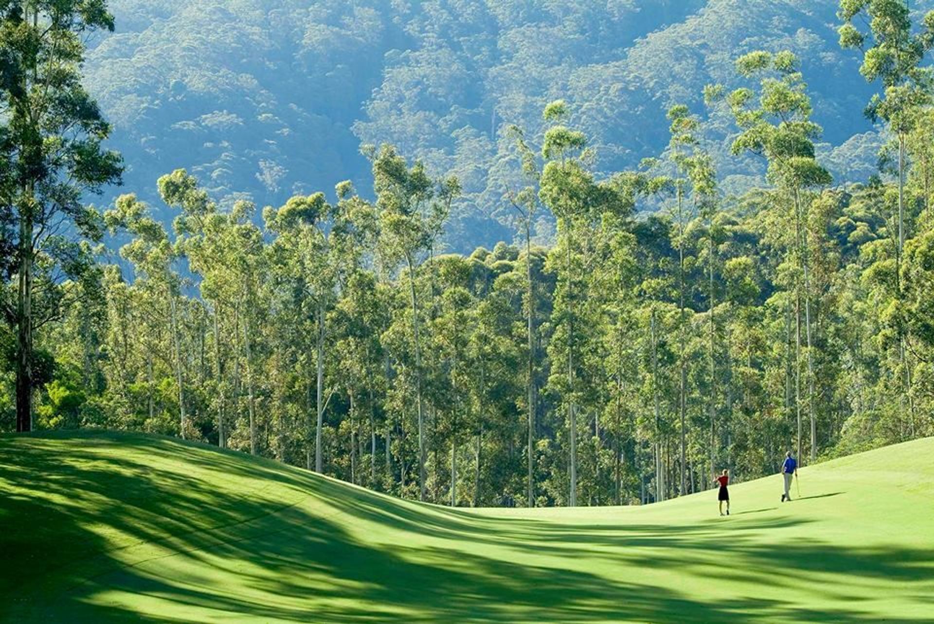 Bonville Golf Resort