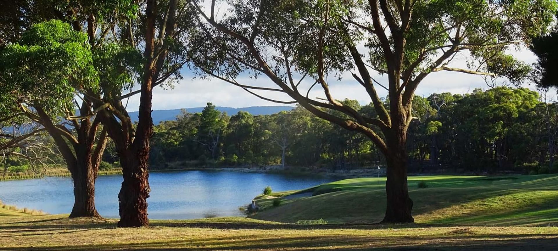Gisborne Golf Club
