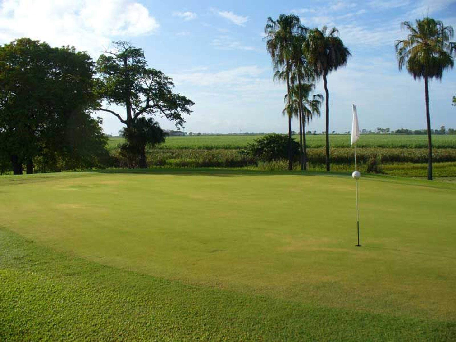 Ayr Golf Club