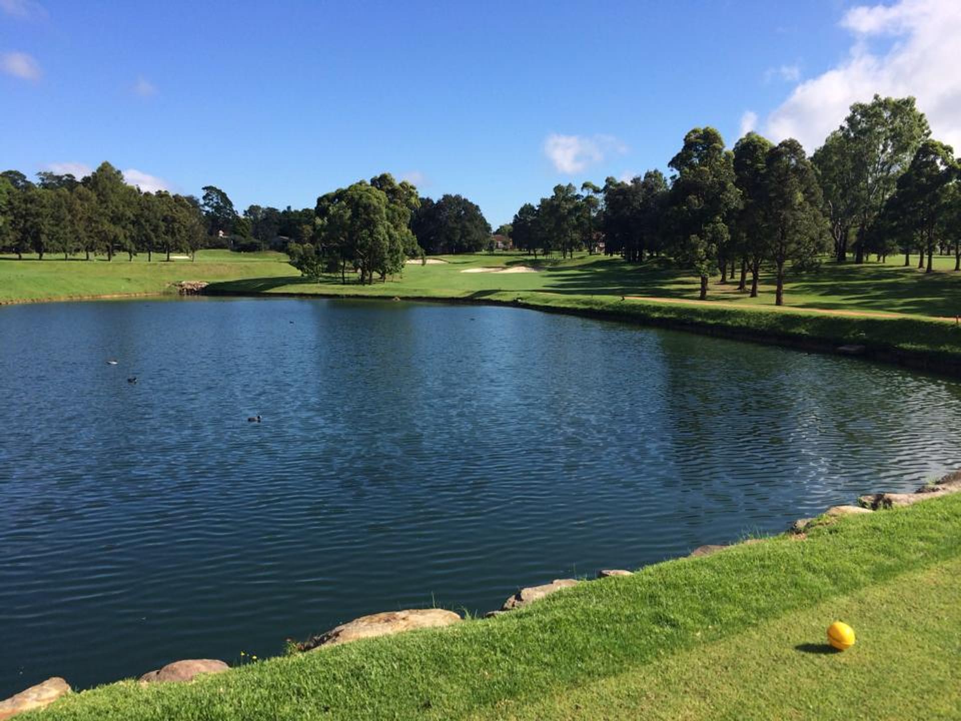 Asquith Golf Club