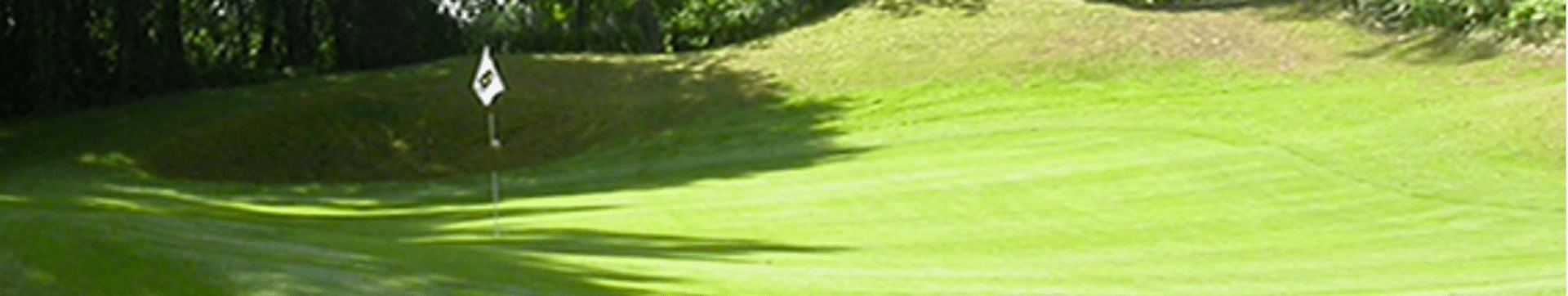 Golf de Biscarrosse (Forêt-Océan)
