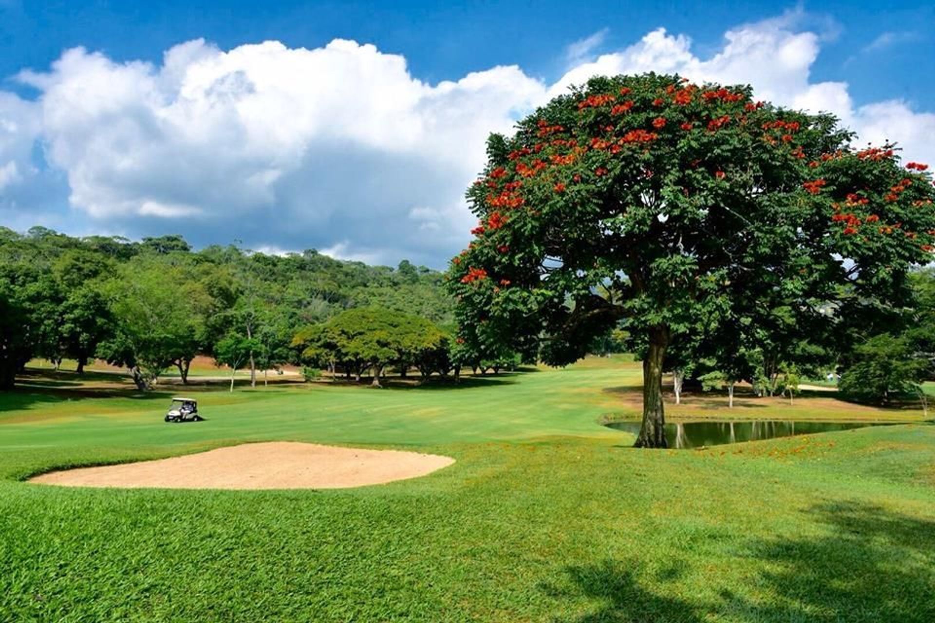Club Campestre De Cali