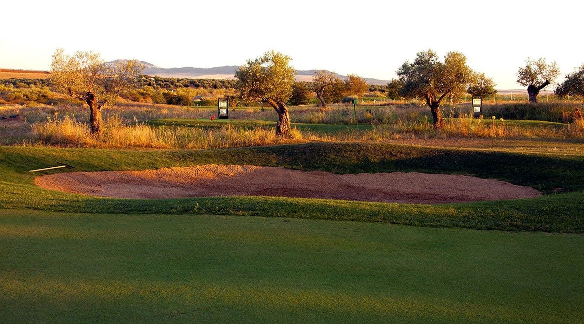 Golf Quinto Coto