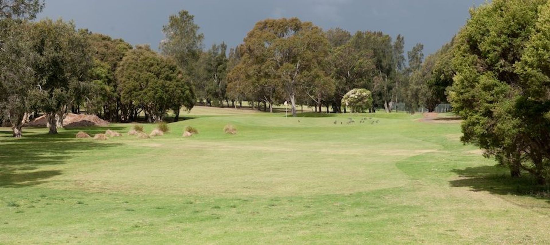Canterbury Golf