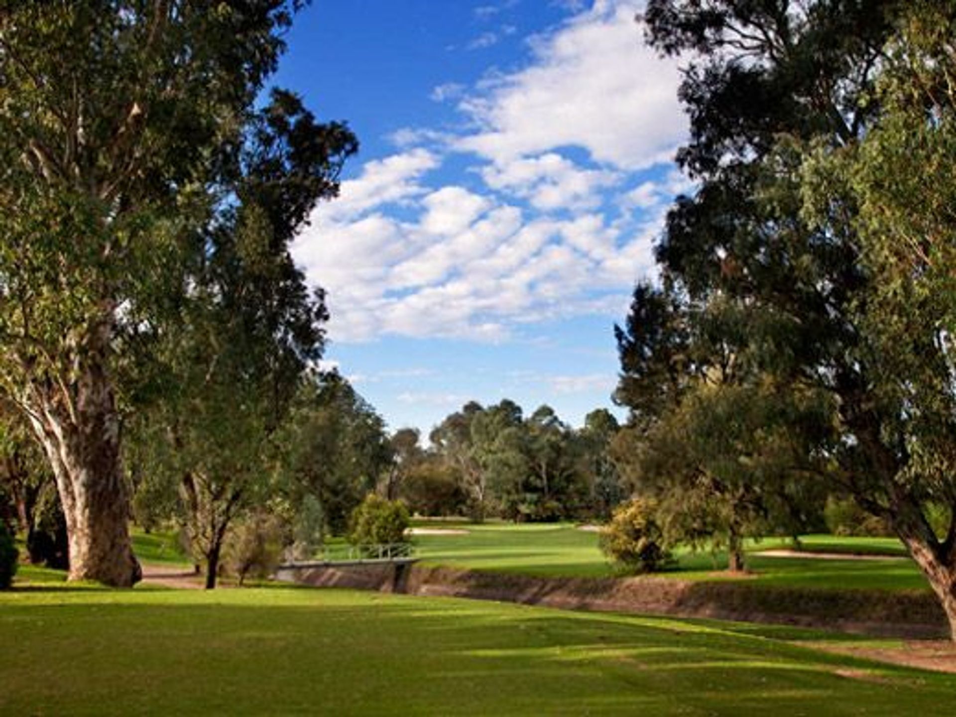 Commercial Golf Resort