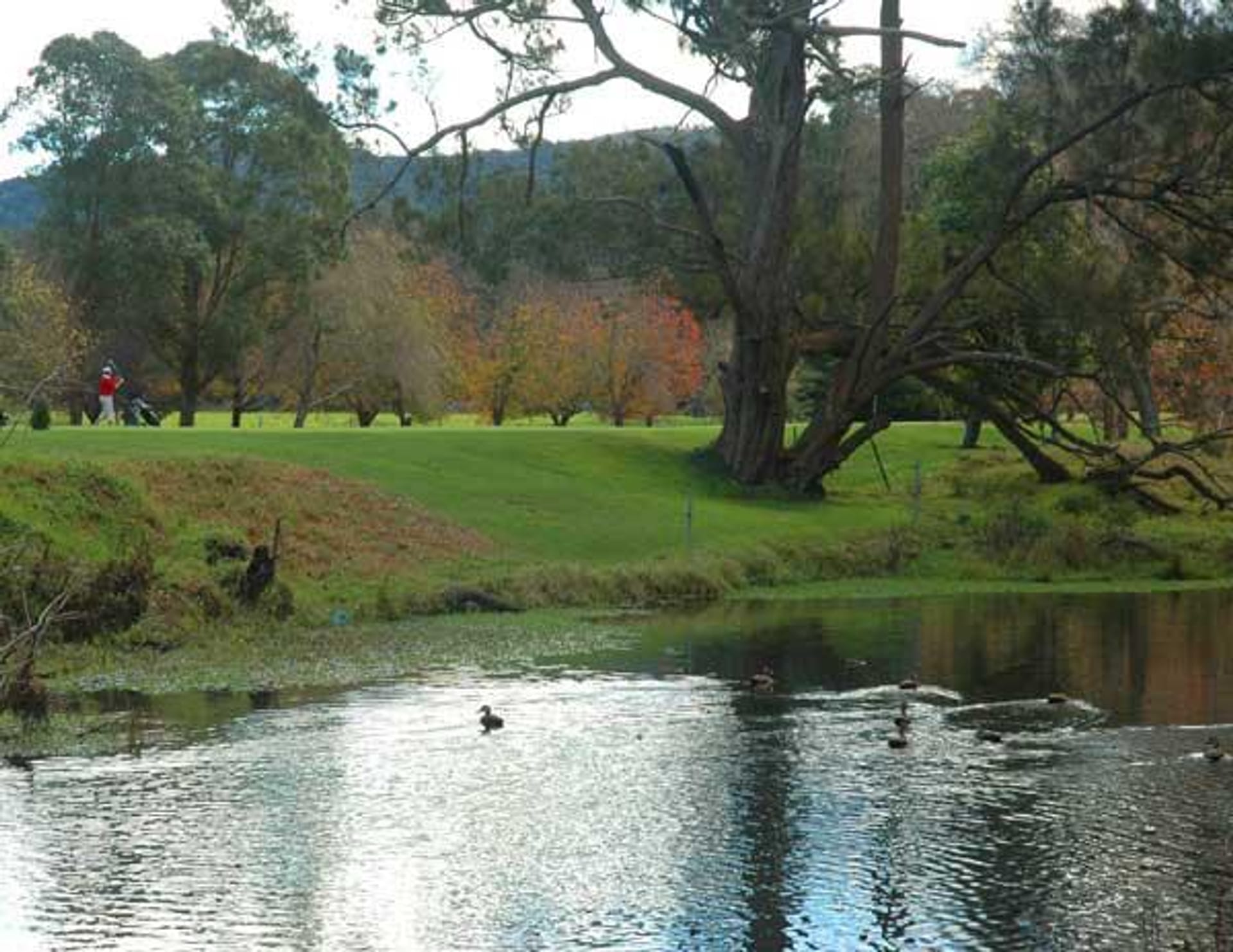 Jamberoo Golf Club