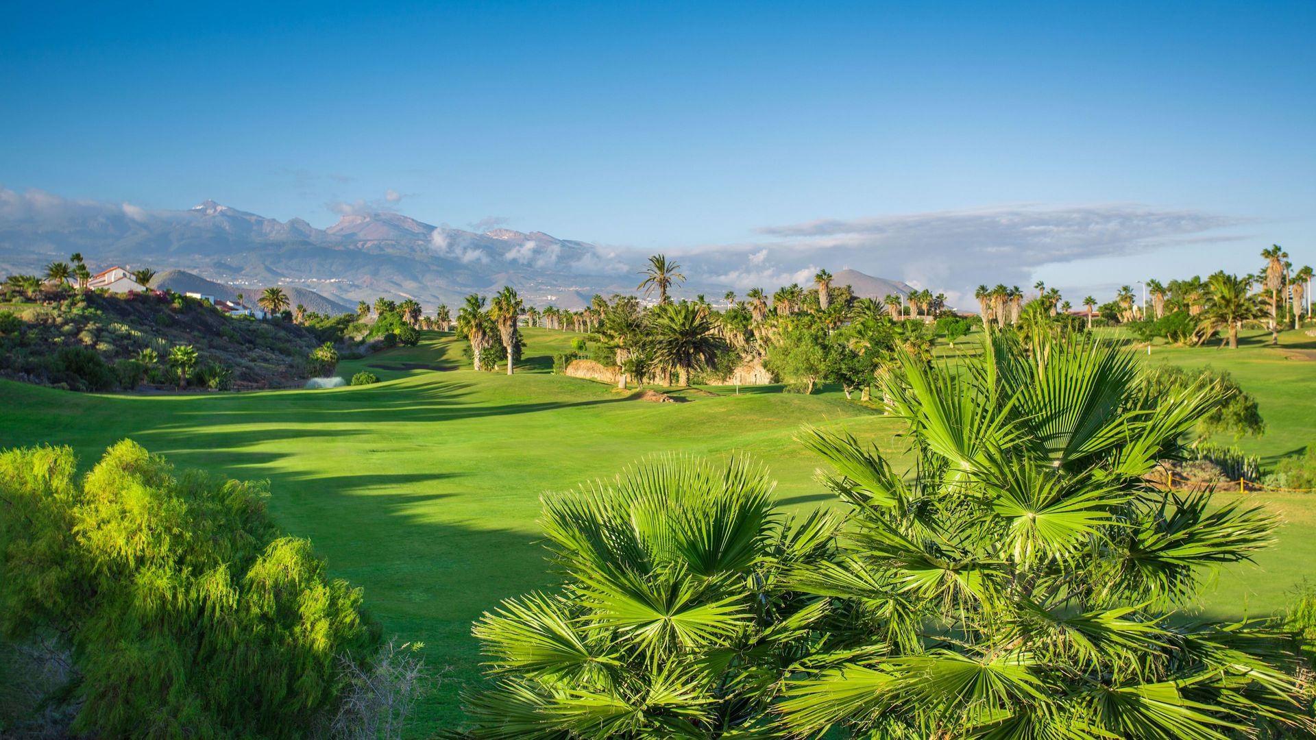 Golf del Sur