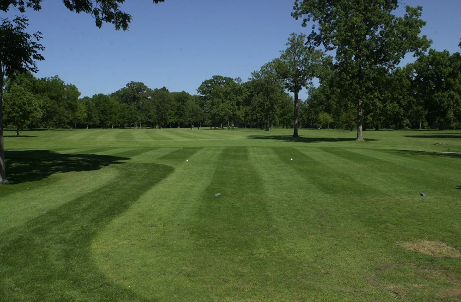 Forest Preserve Golf - Chick Evans Golf Course