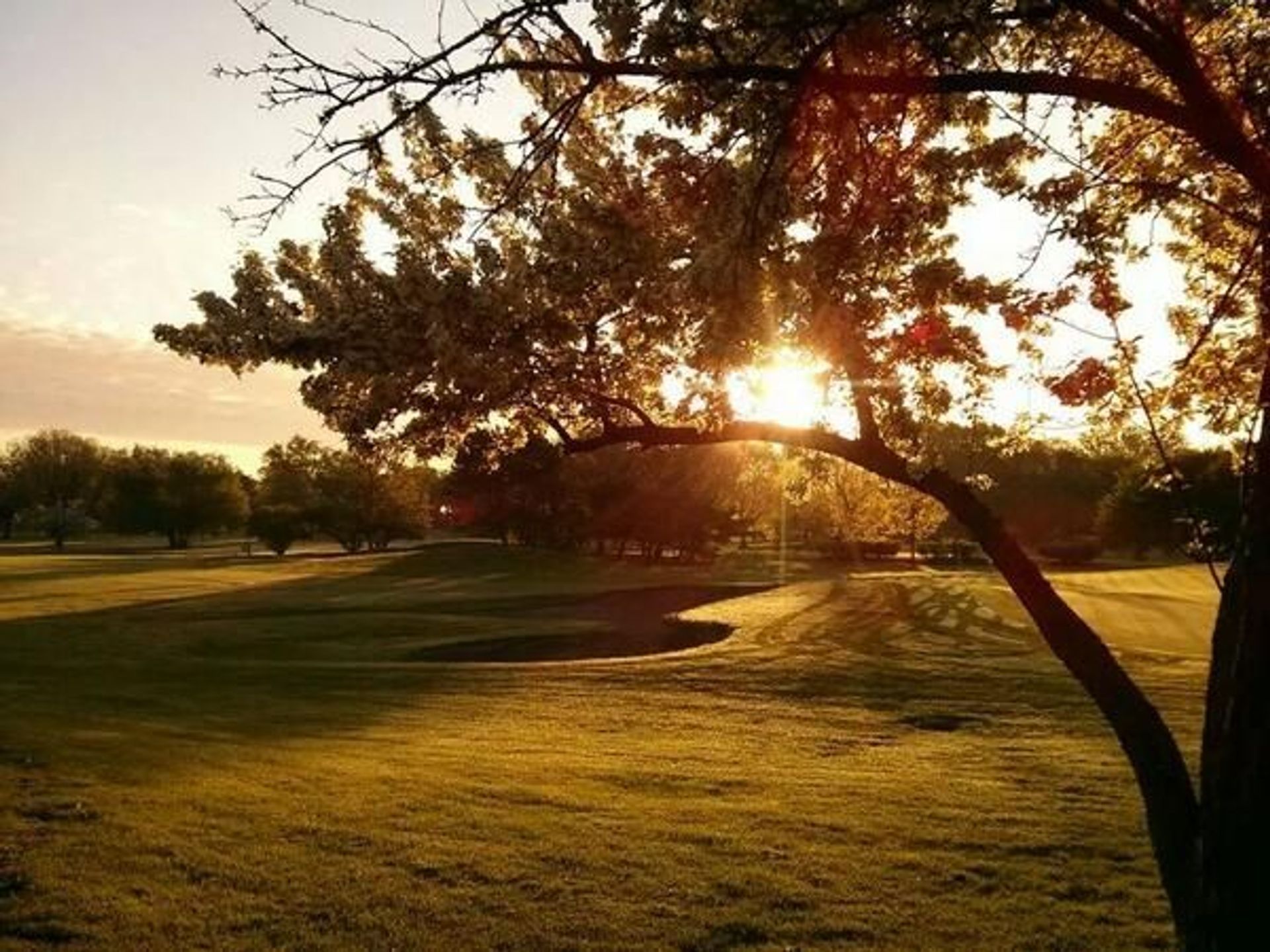 Chicago Park District - Robert A. Black Golf Course