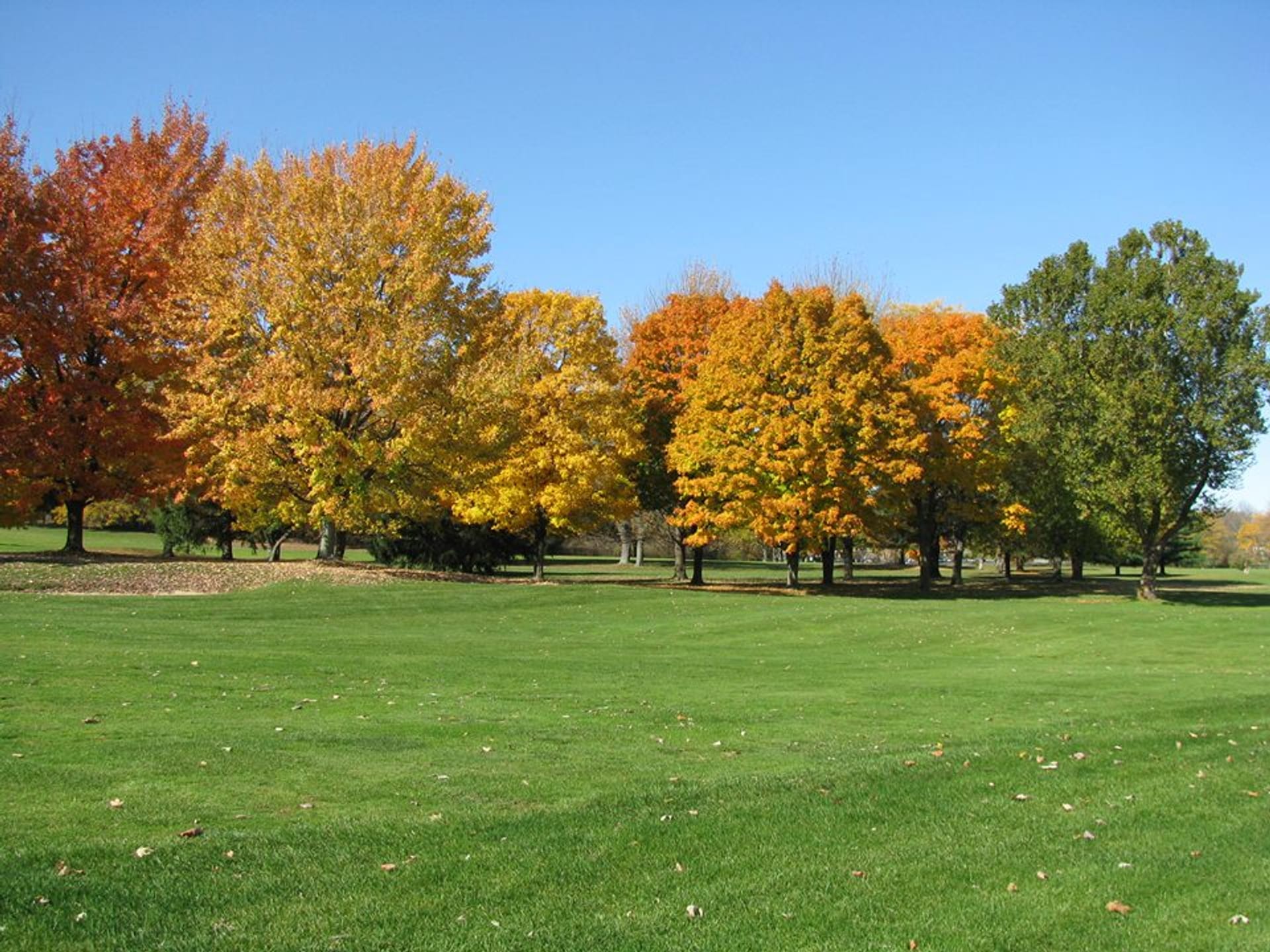 The Highlands Golf Club
