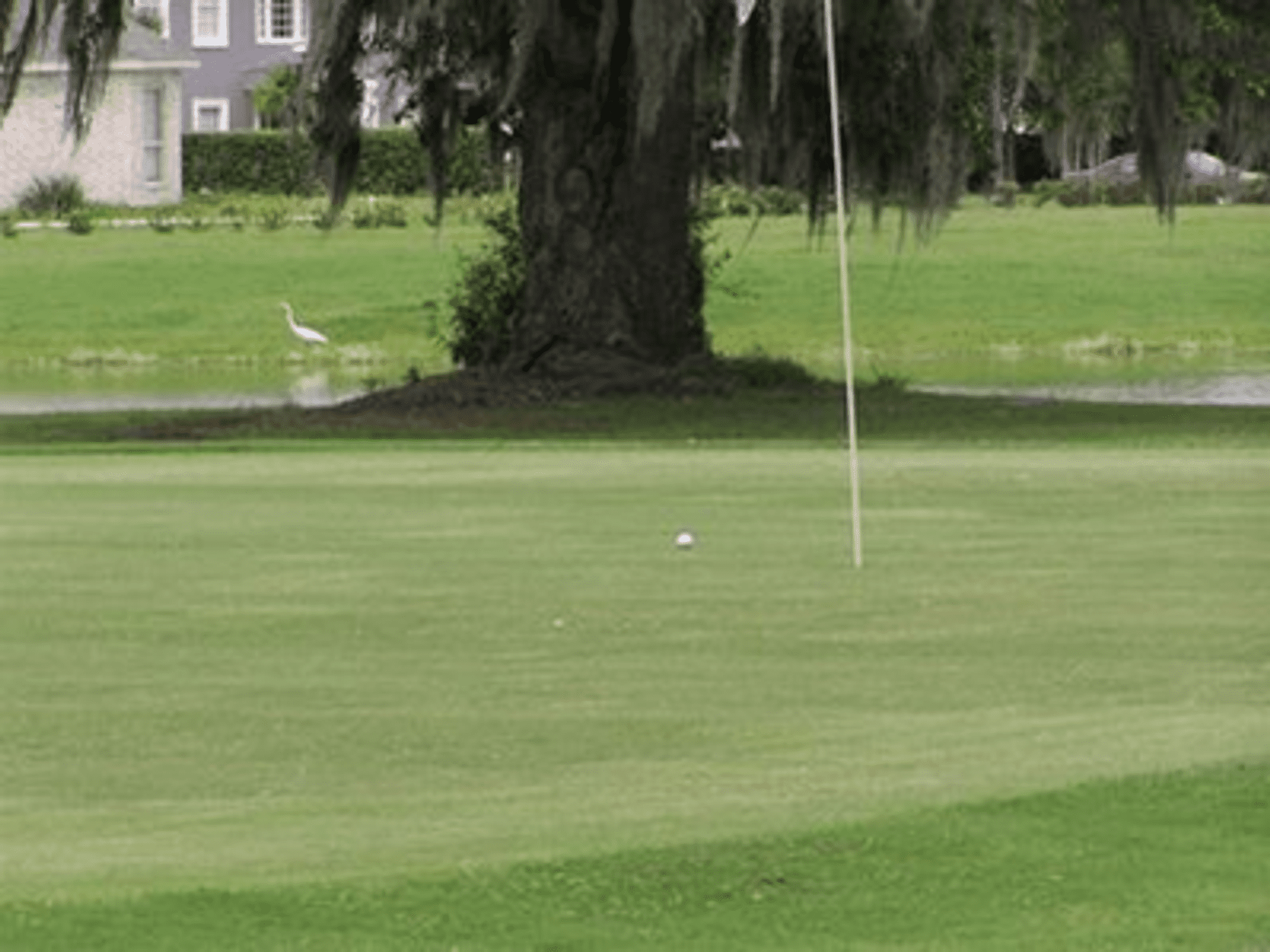 Belle Terre Country Club