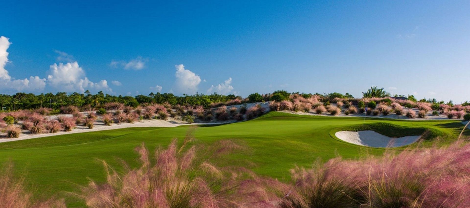 Albany Golf Course