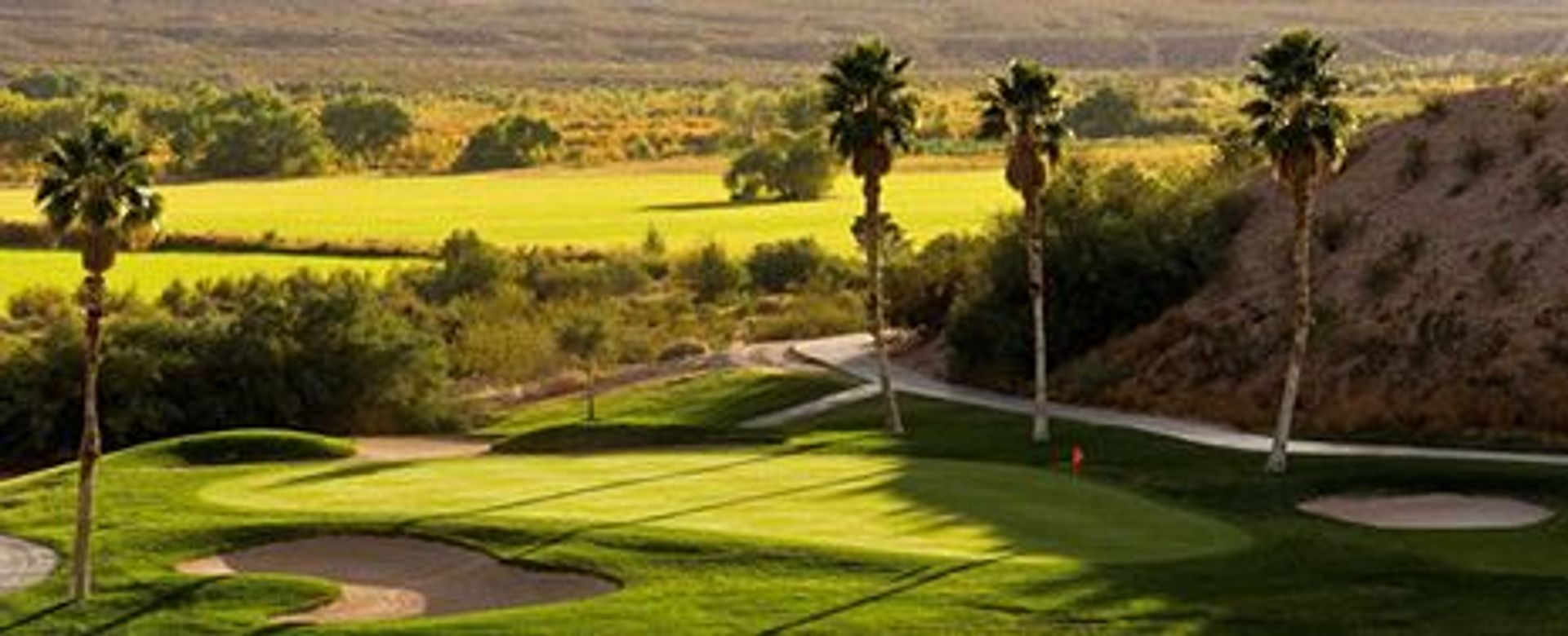 Palms Golf Club