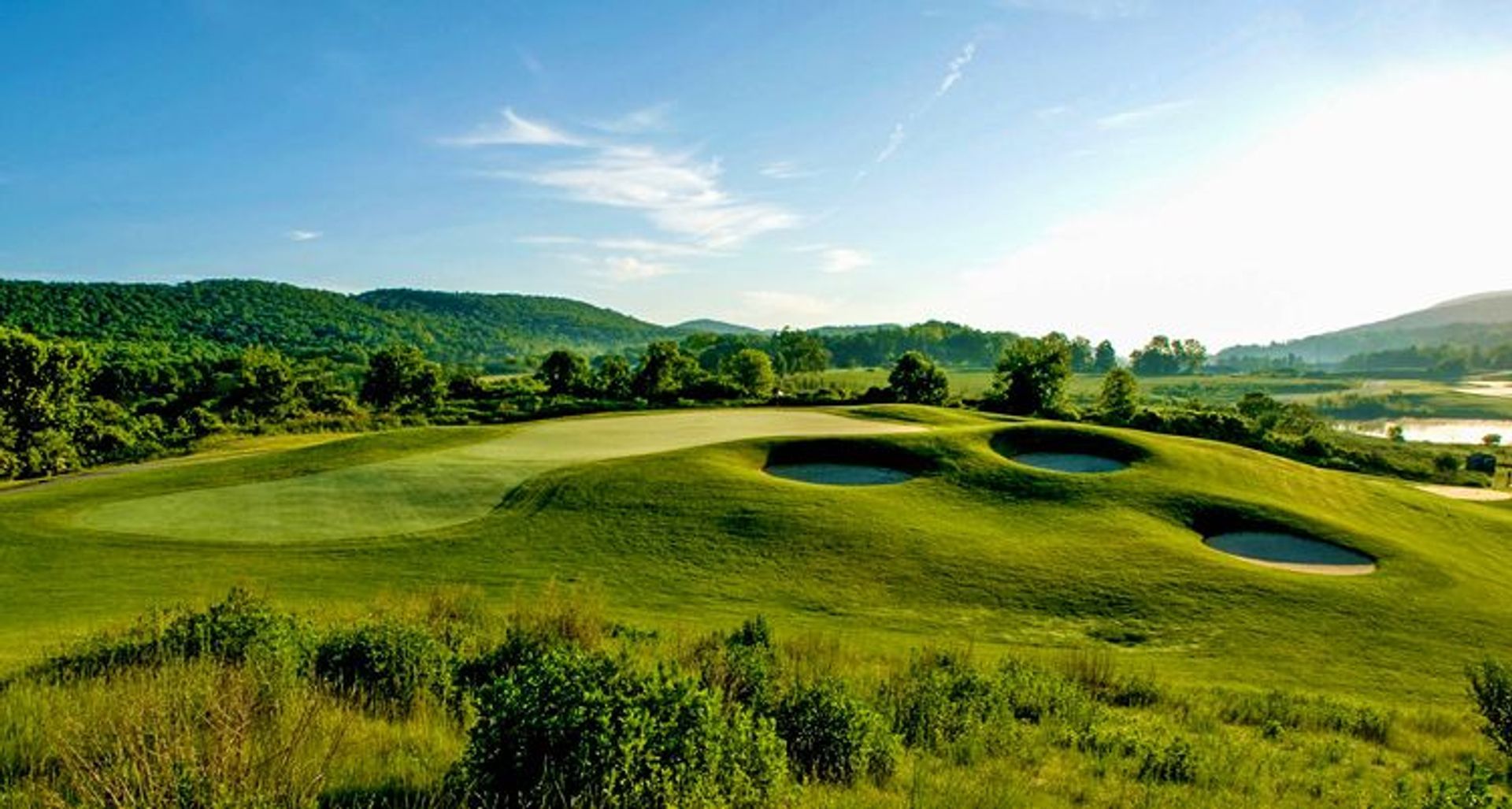 Crystal Springs Resort - Wild Turkey