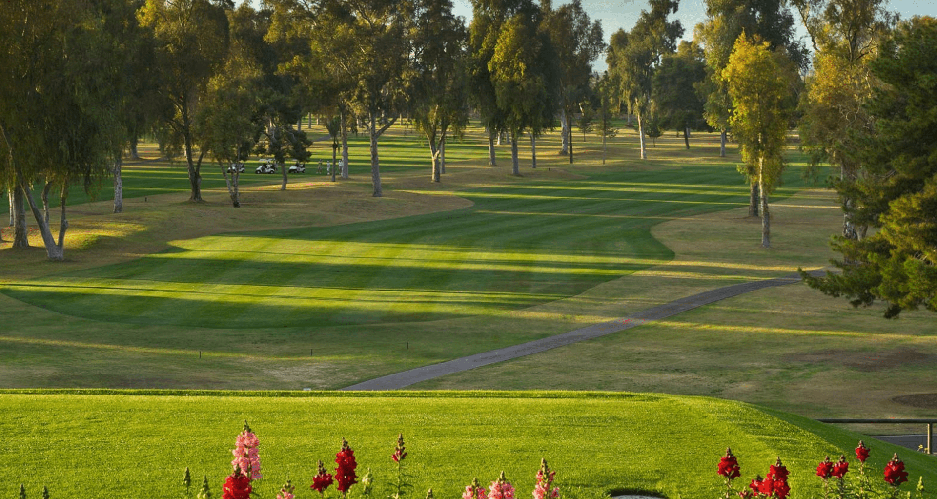 Mesa Country Club