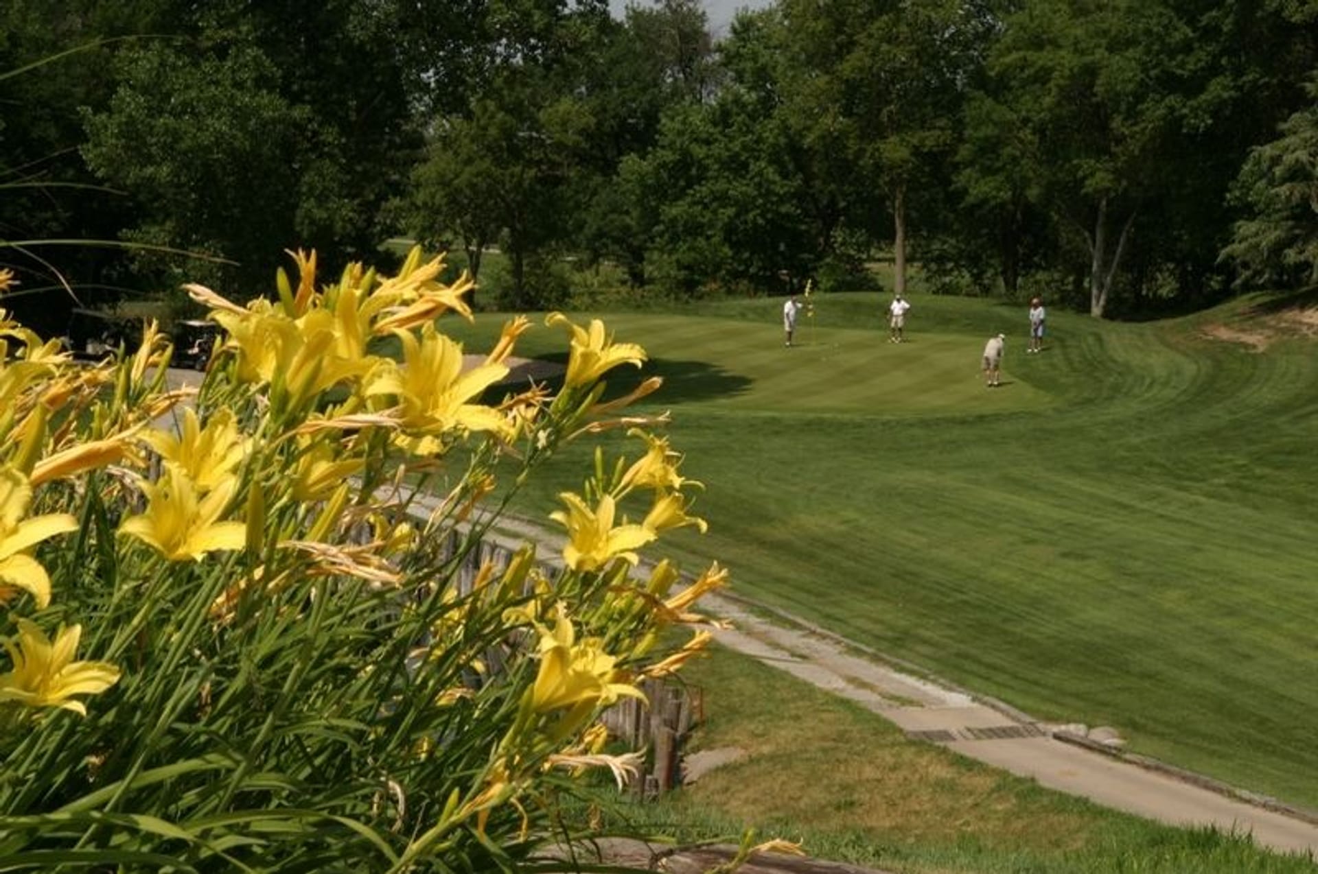 York Country Club