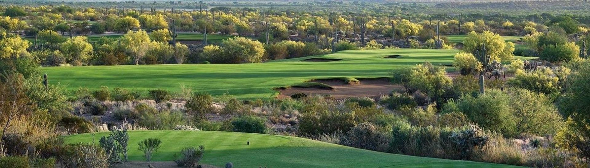 We-Ko-Pa Golf Club (Saguaro)