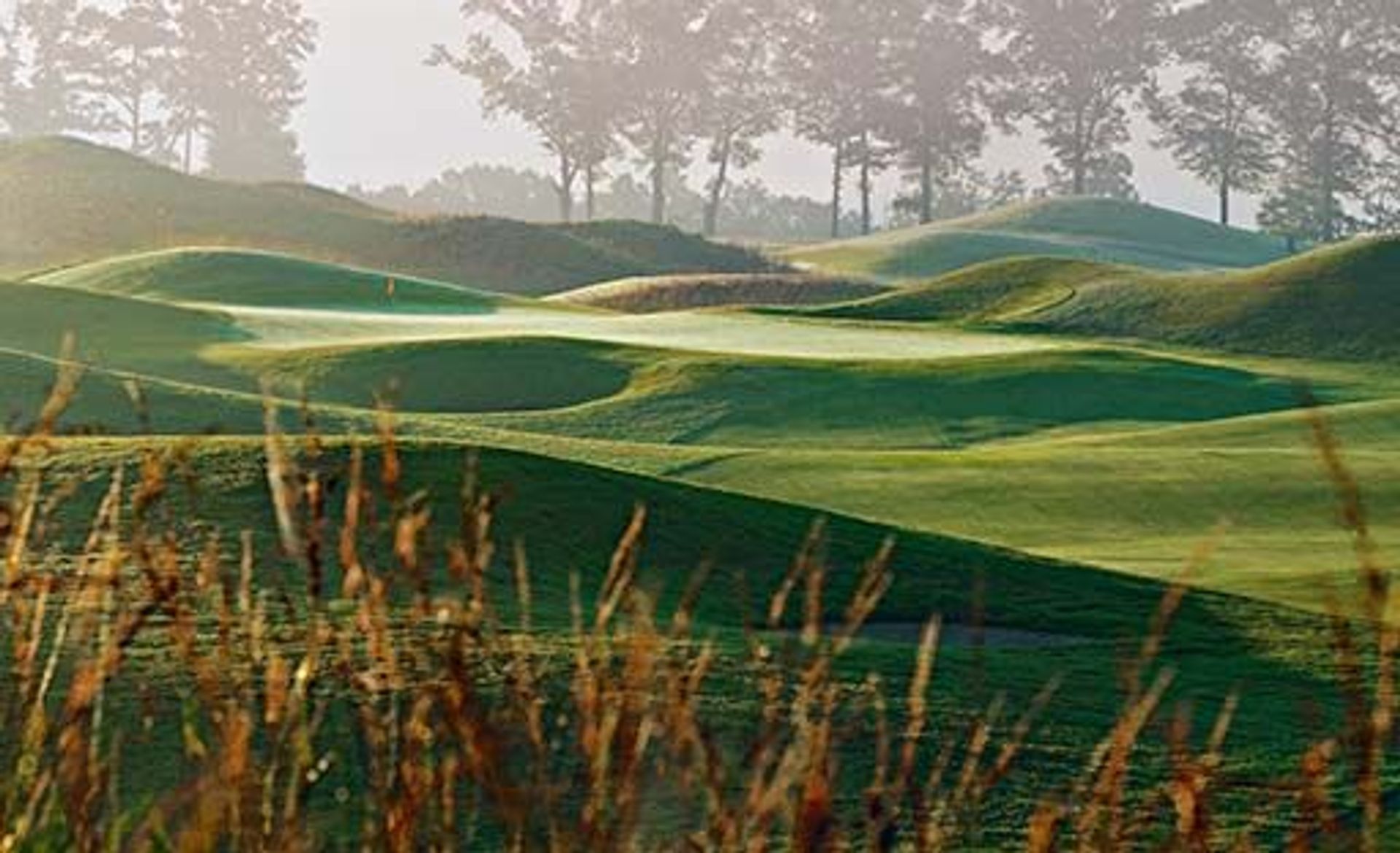 RTJ Golf Trail at Capitol Hill (Senator)