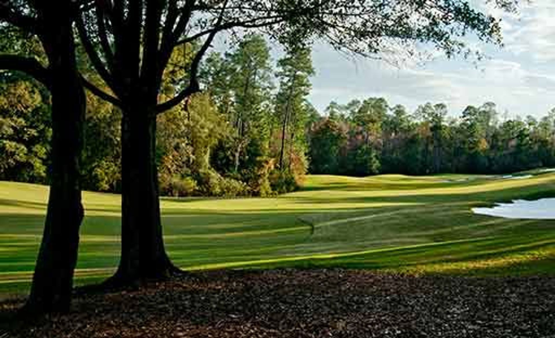 RTJ Golf Trail at Magnolia Grove (Falls)
