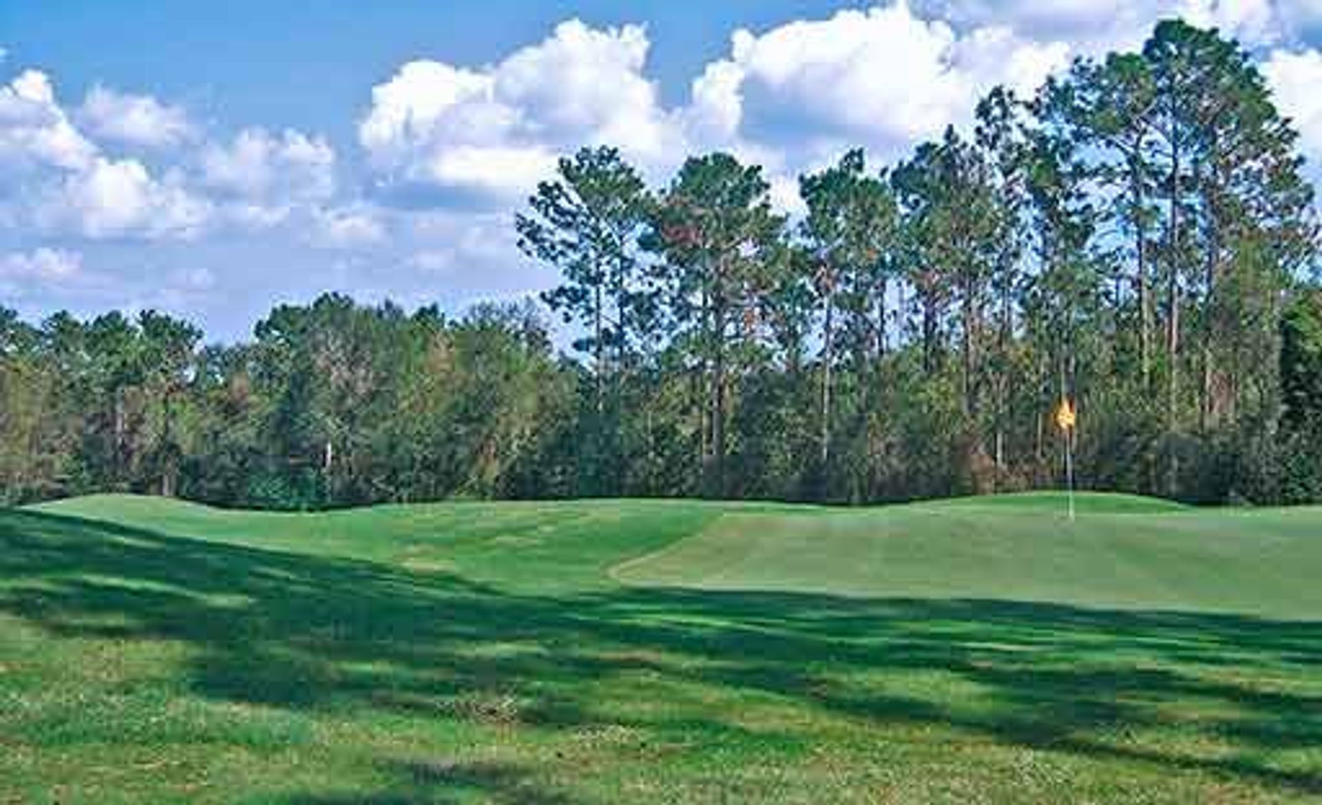 RTJ Golf Trail at Magnolia Grove (Short)